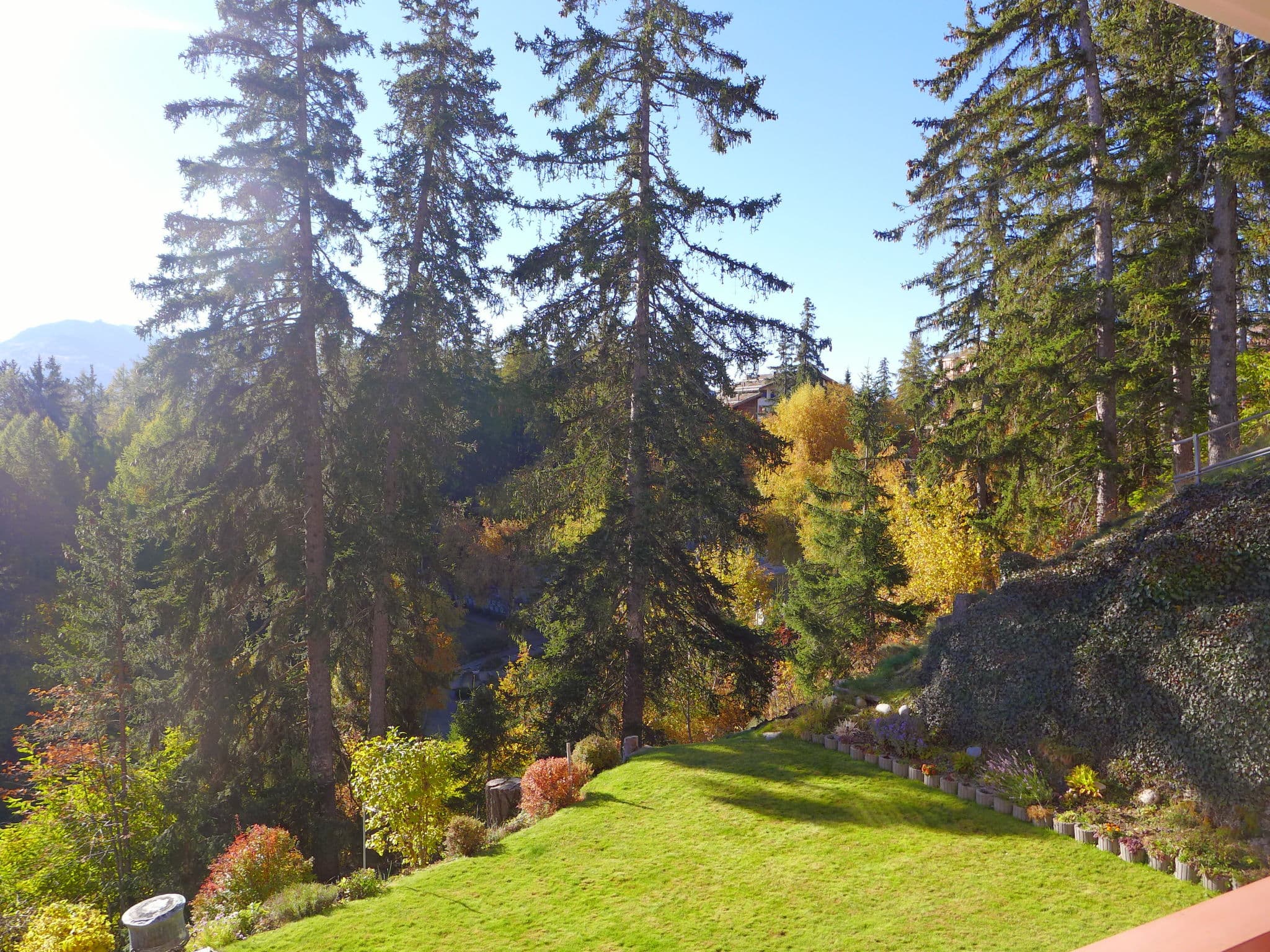 View