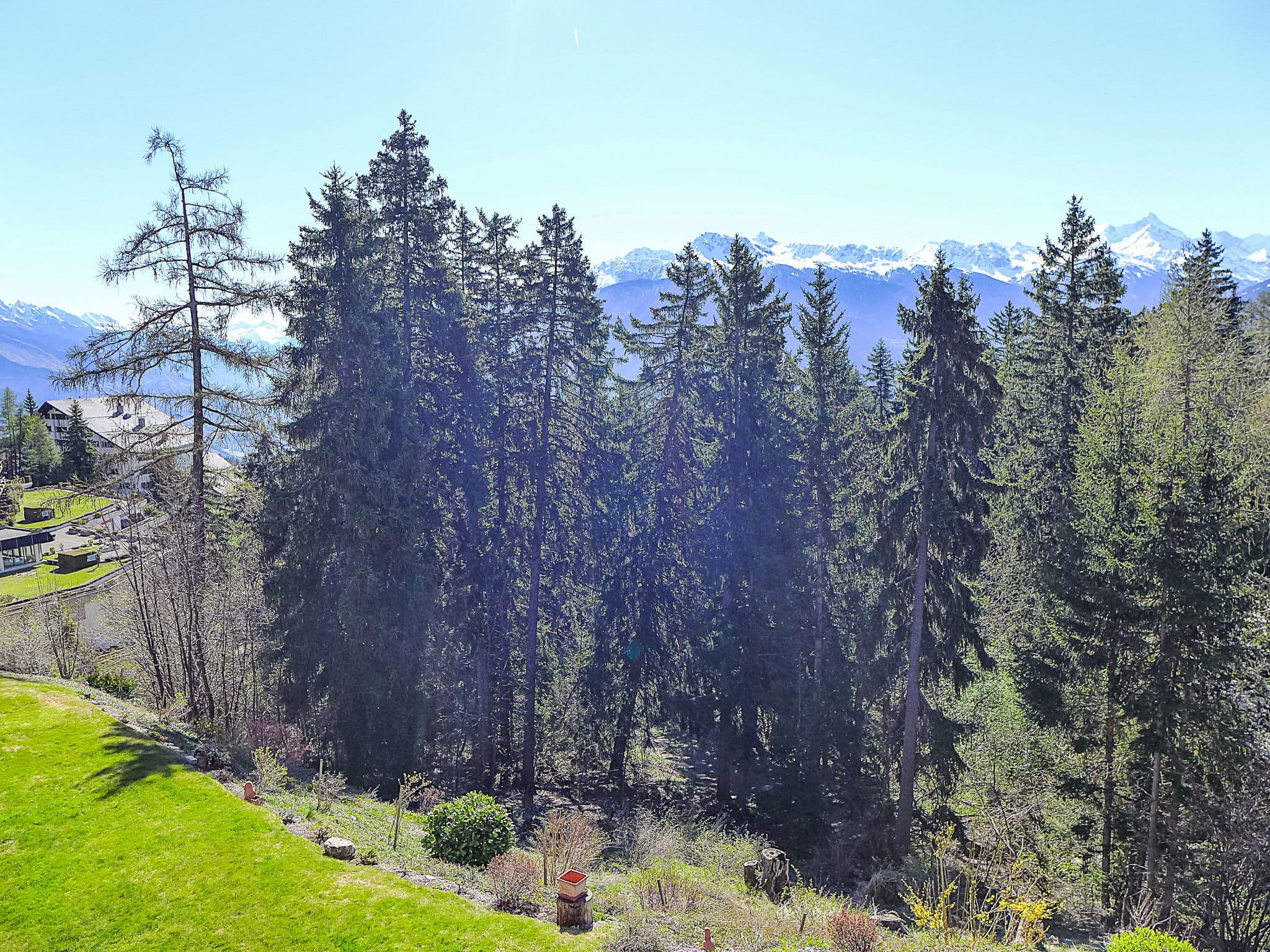 View