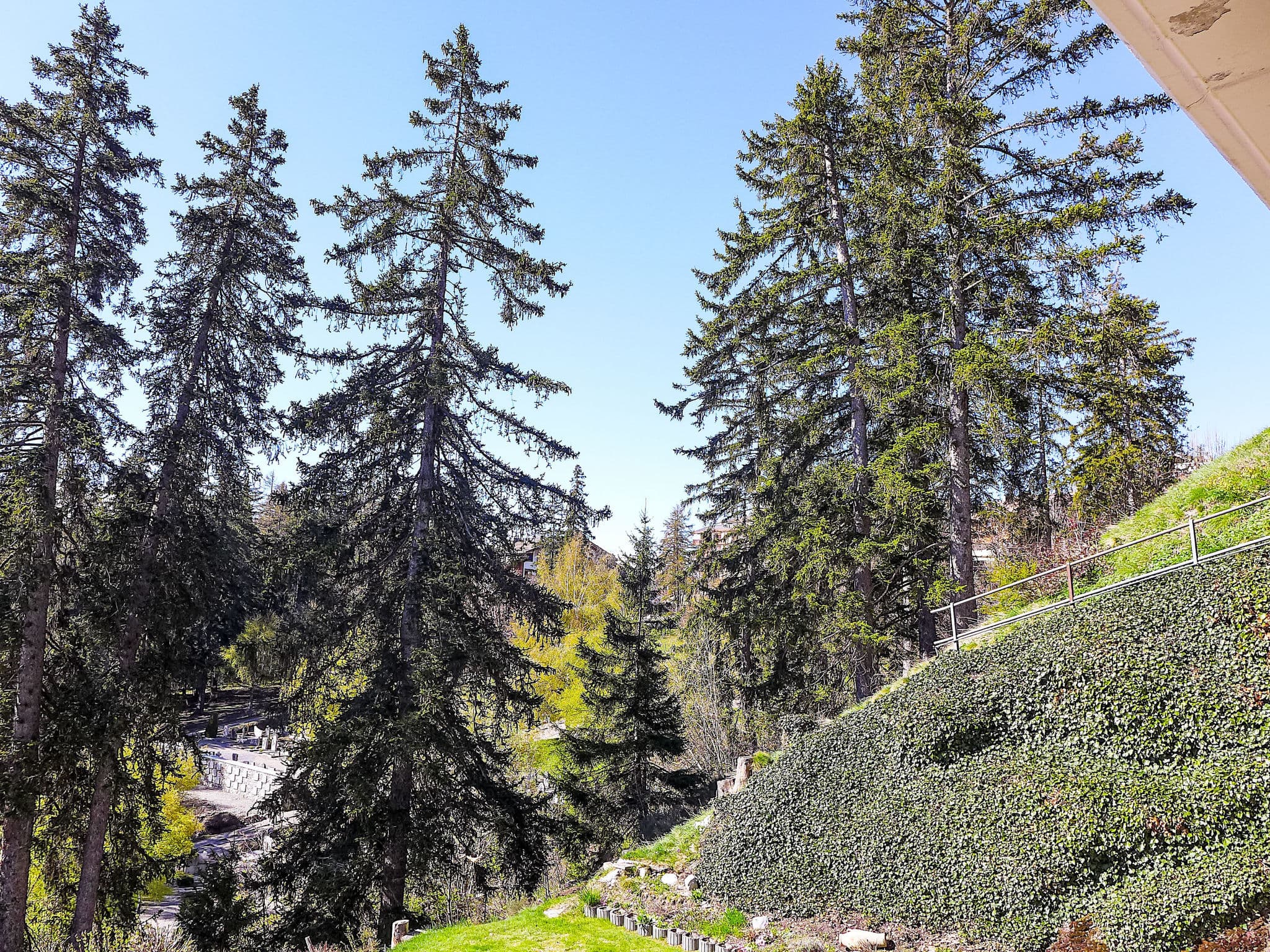 View