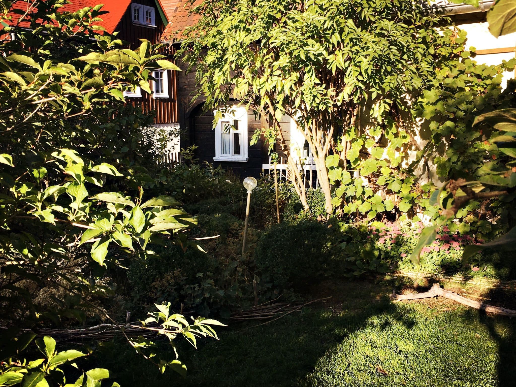 Gallery Image 41