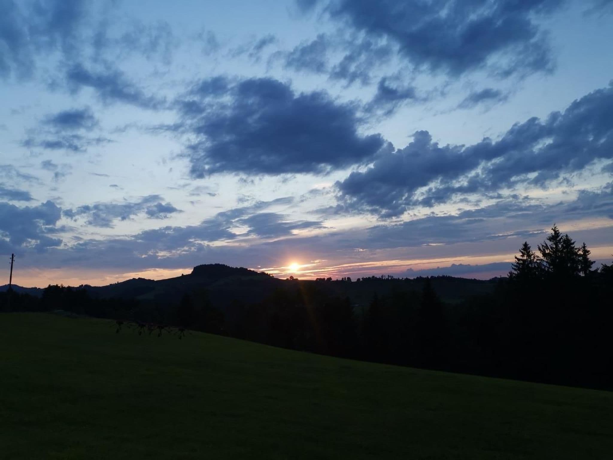 View