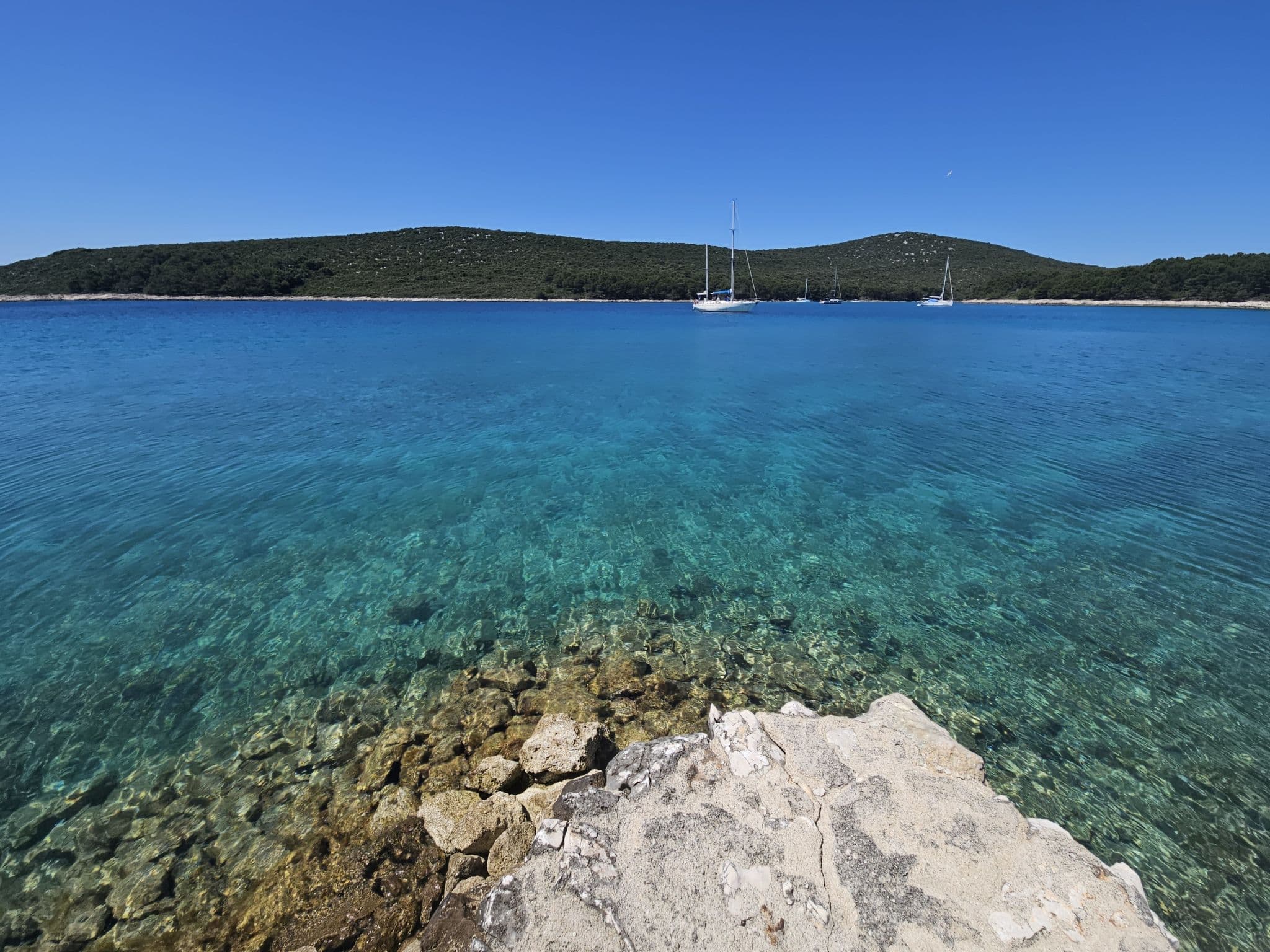 View