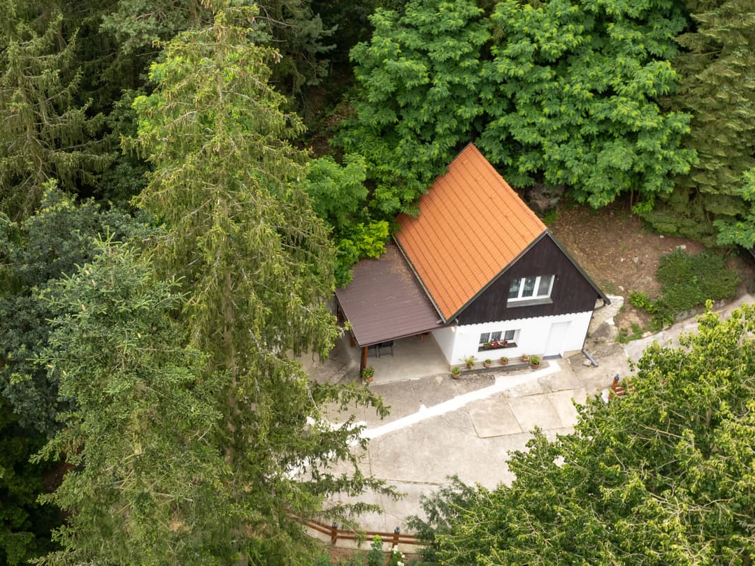 Large Image