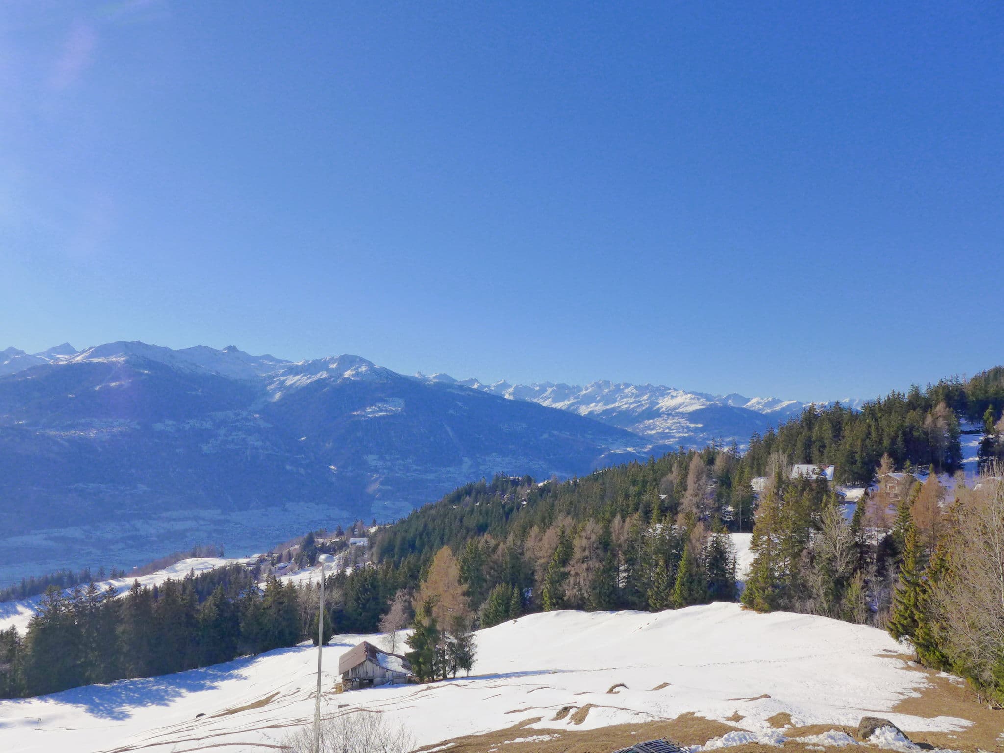 View