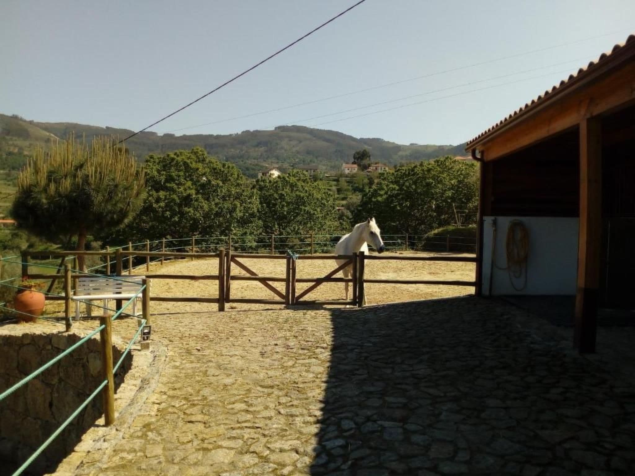 Gallery Image 48