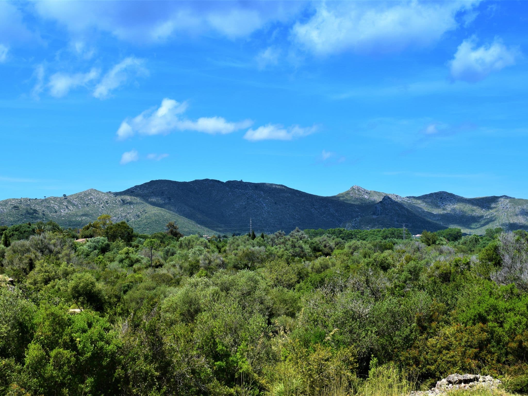 View