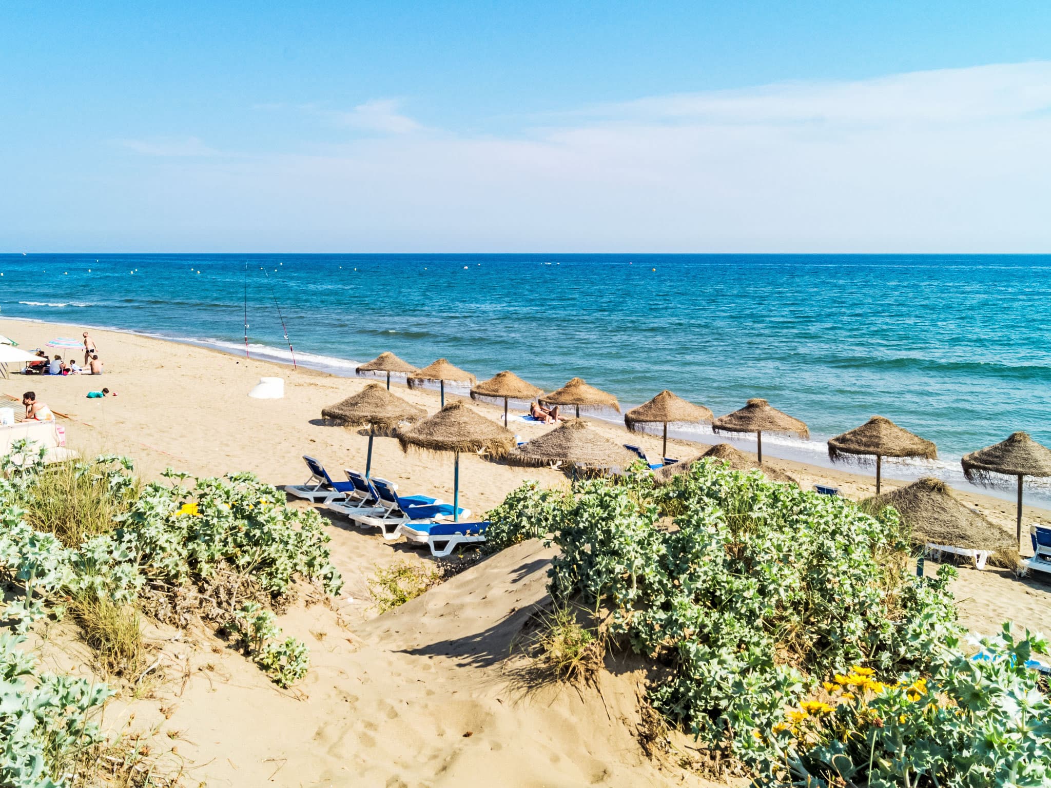 Beach