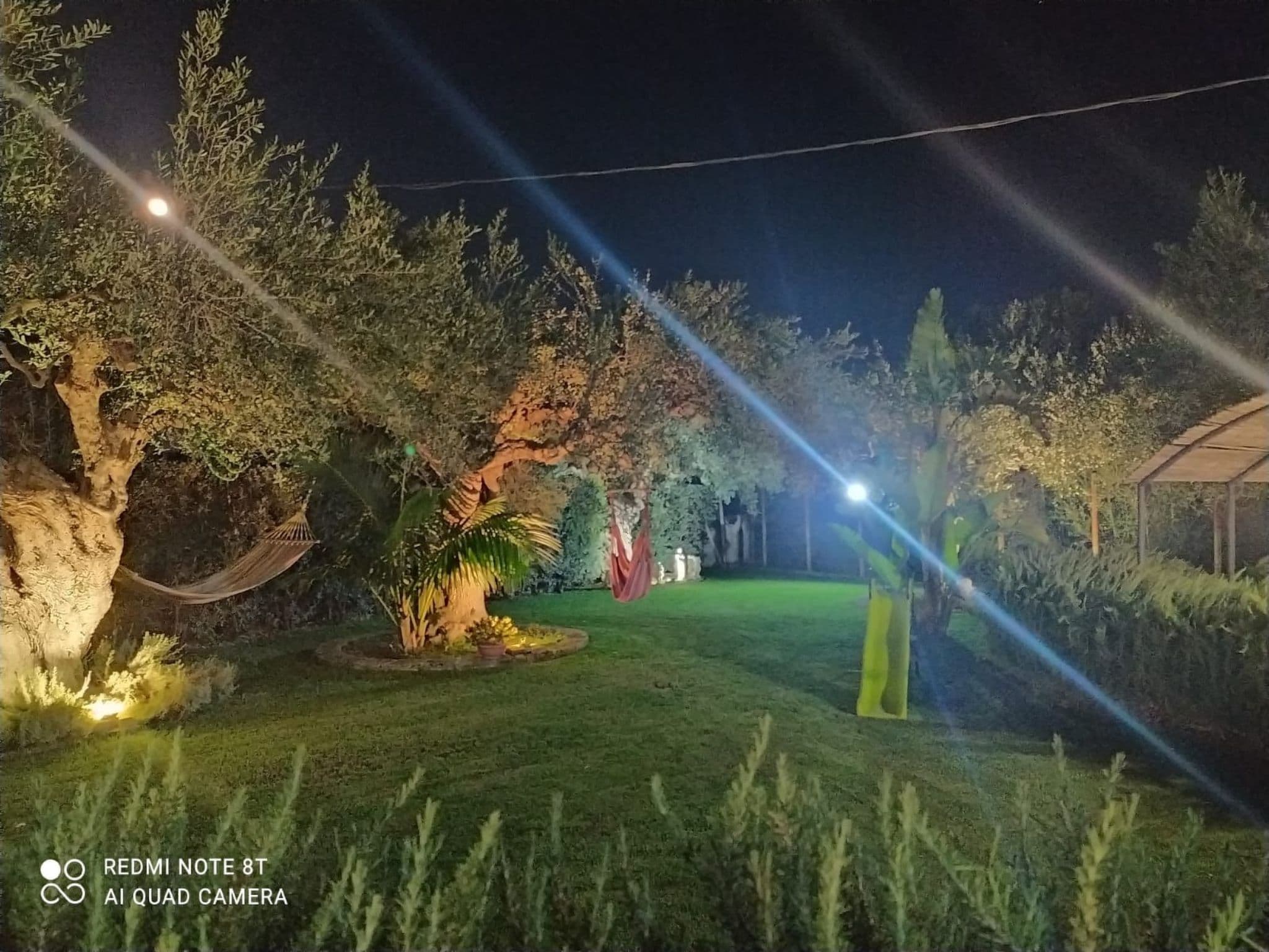 Gallery Image 36