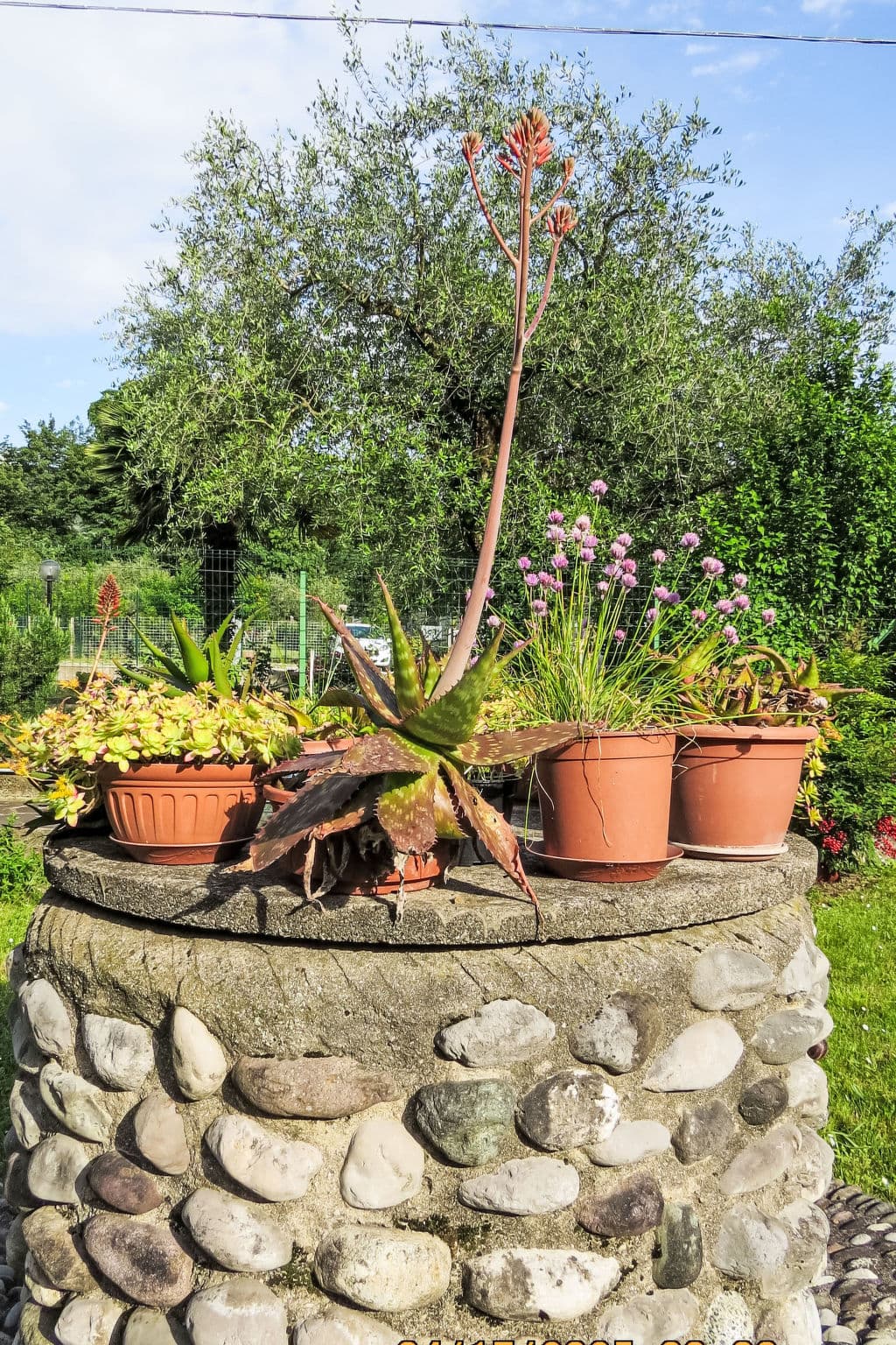 Outdoor
