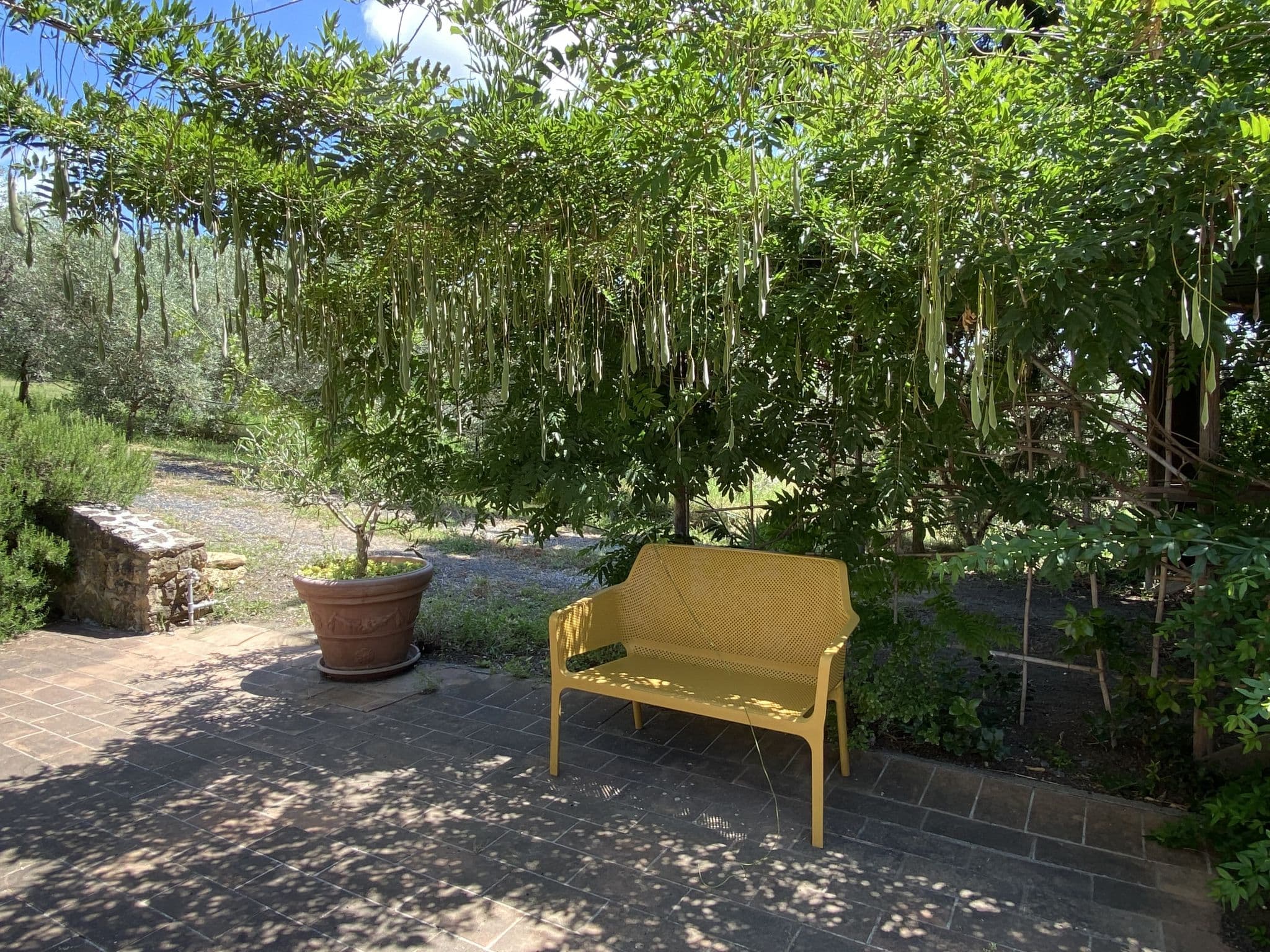 Outdoor