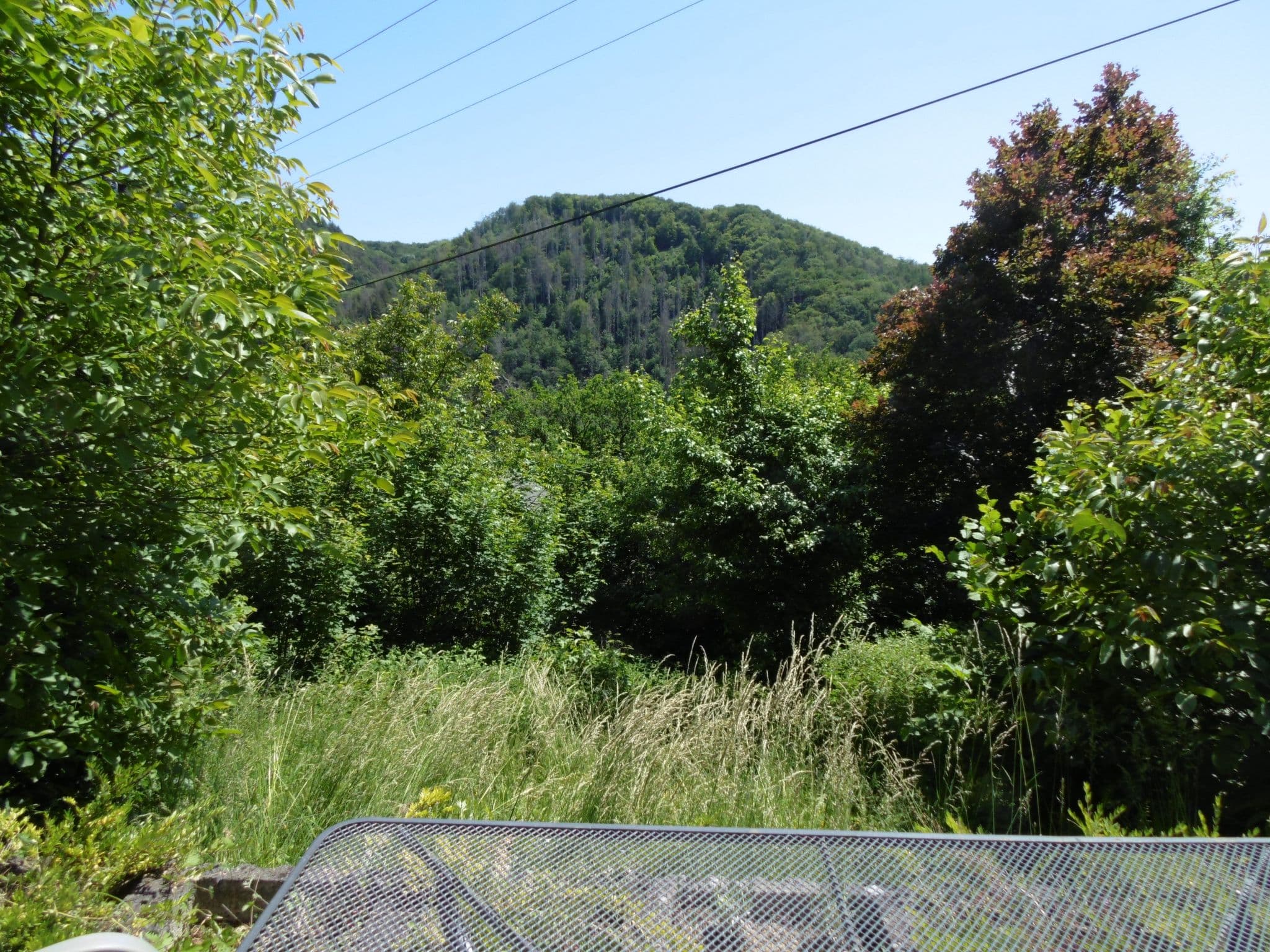 View