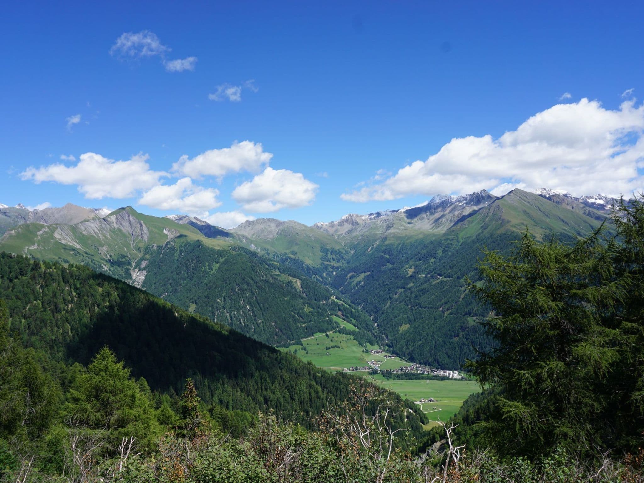 View