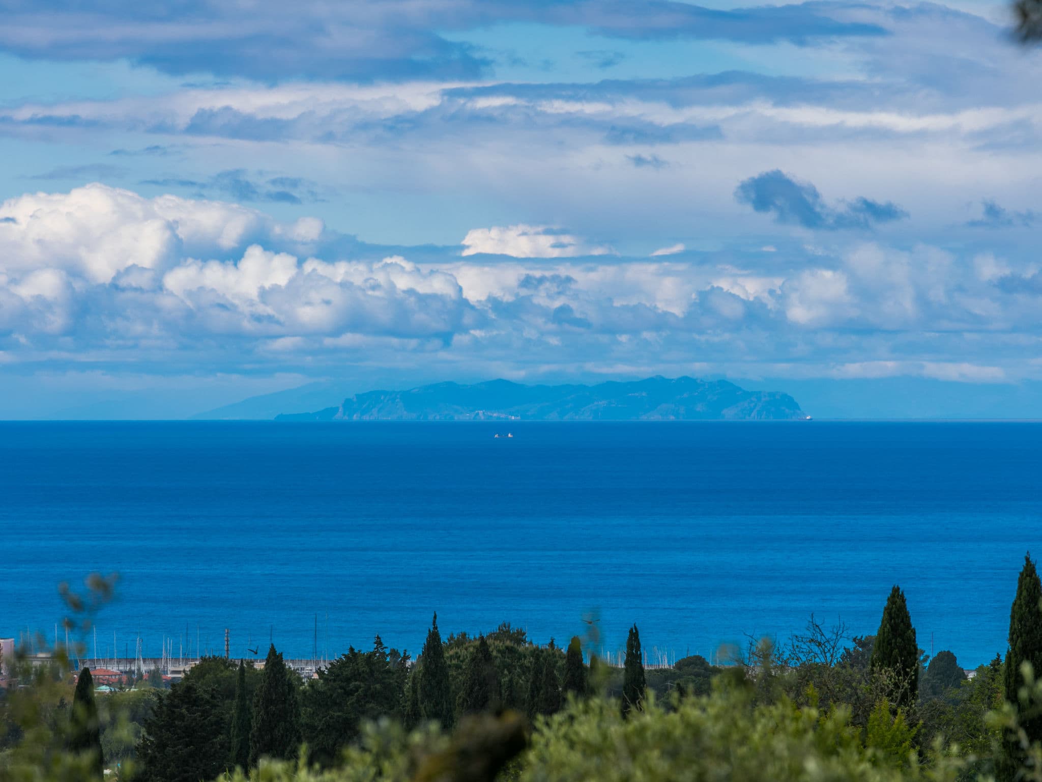 View