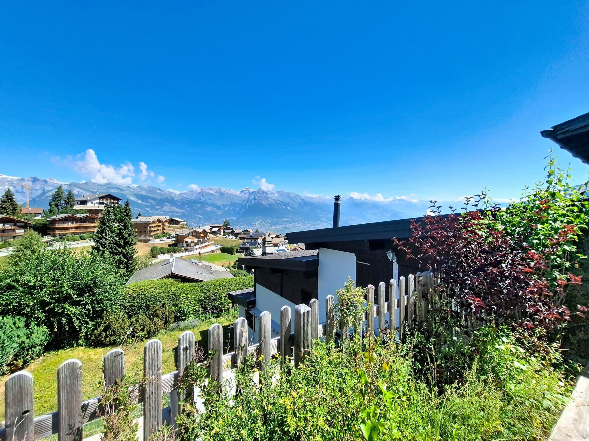 View