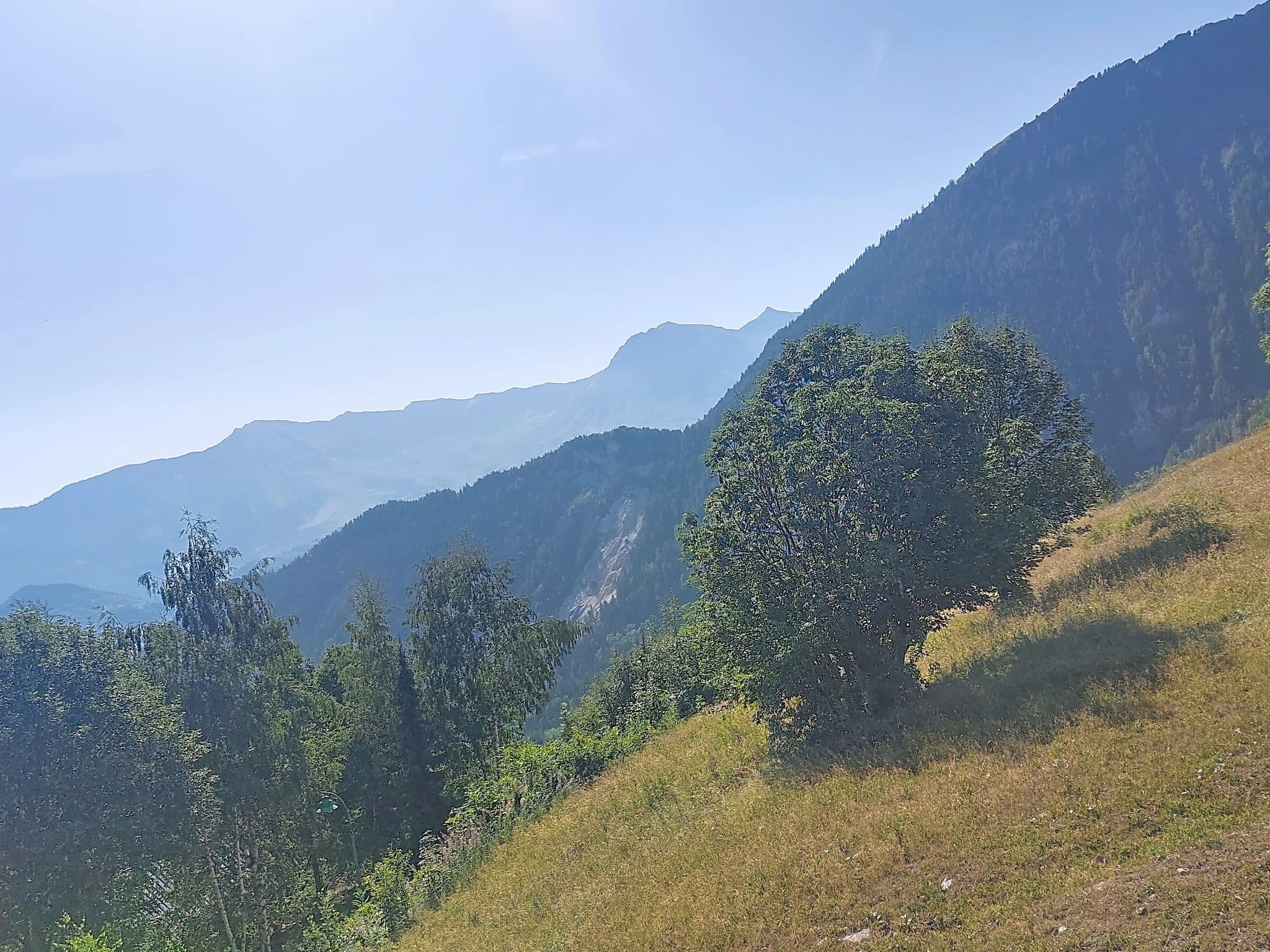 View