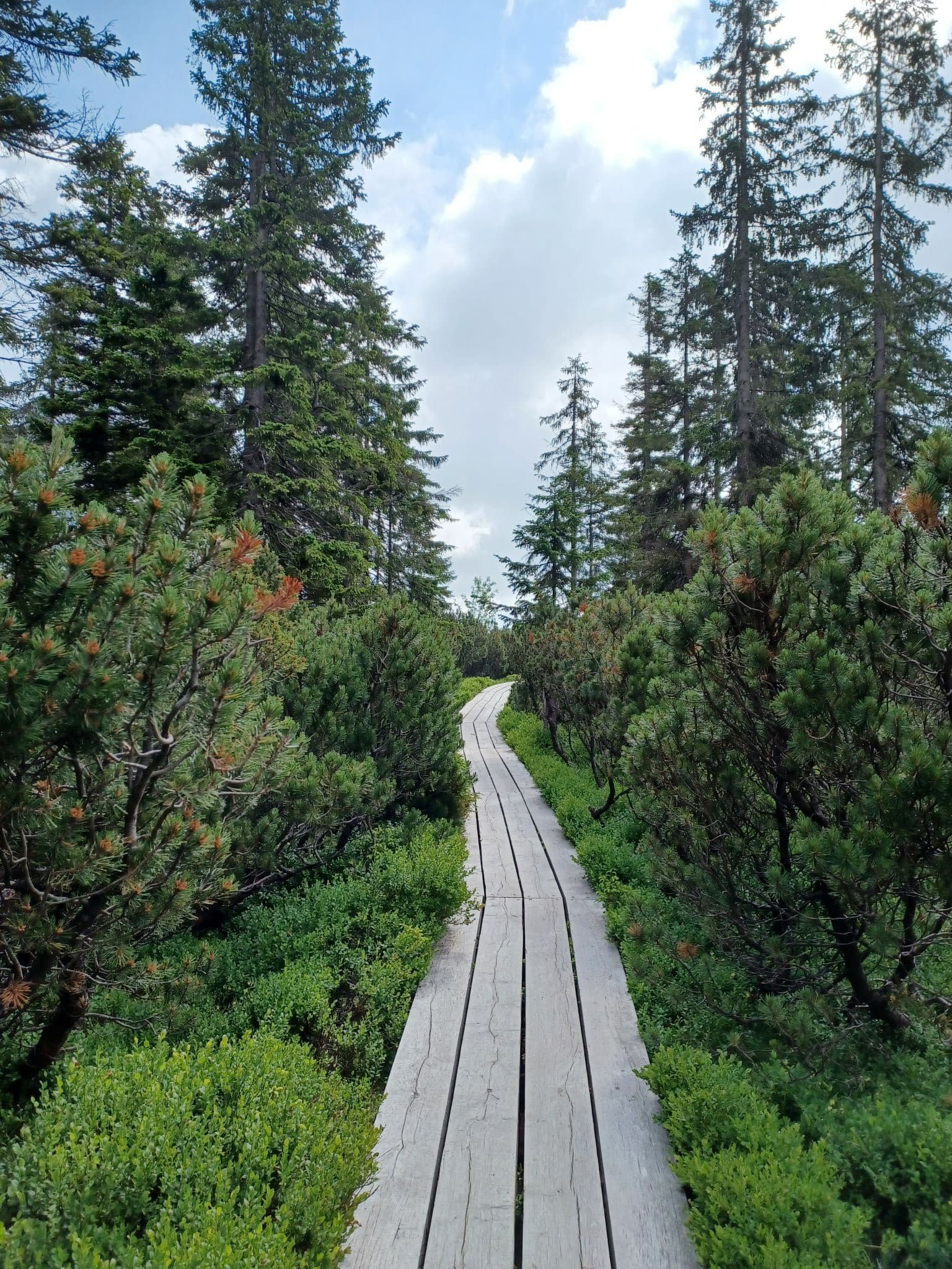 Place