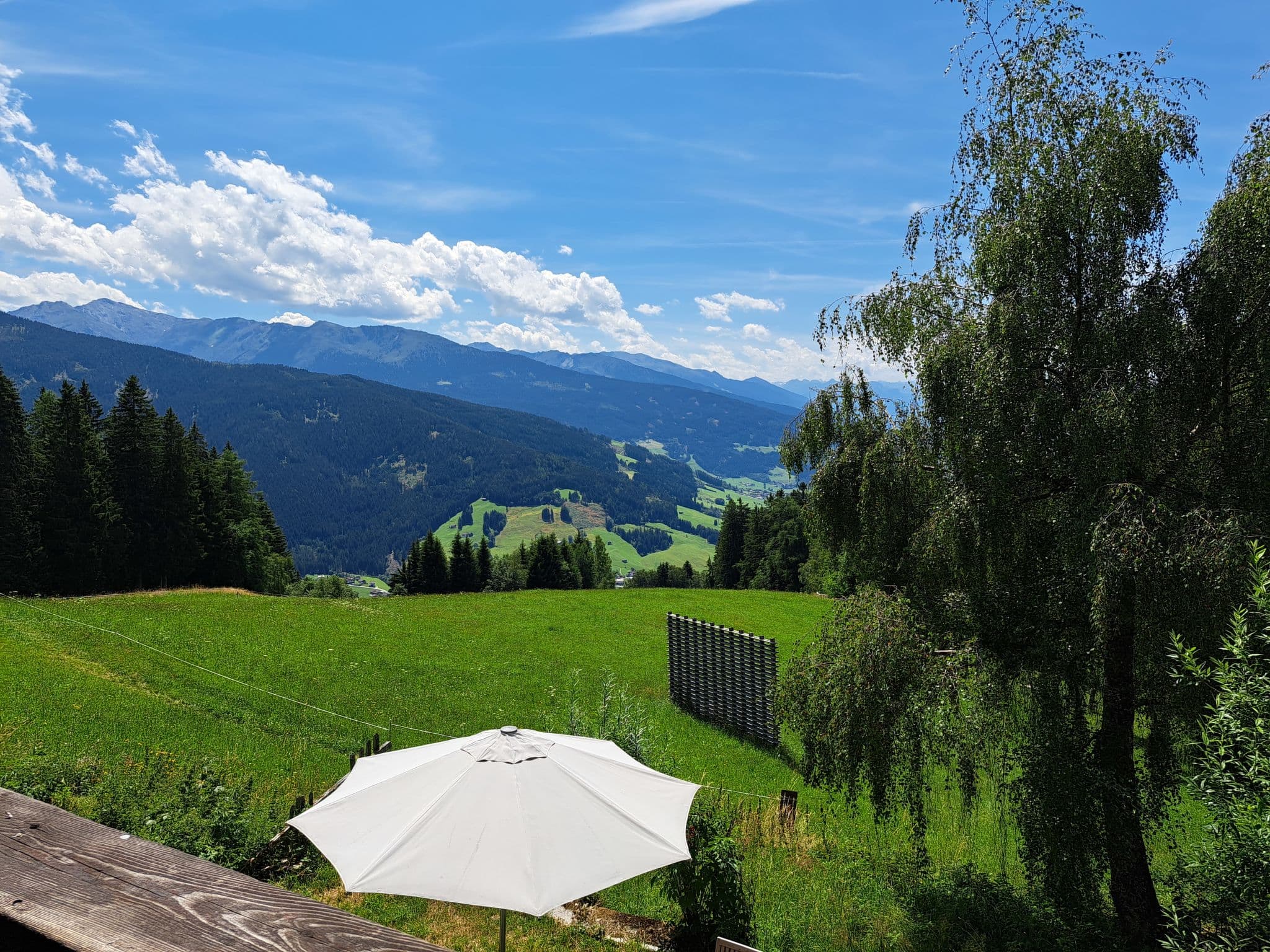 View
