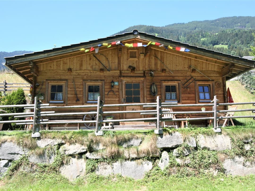Large Image