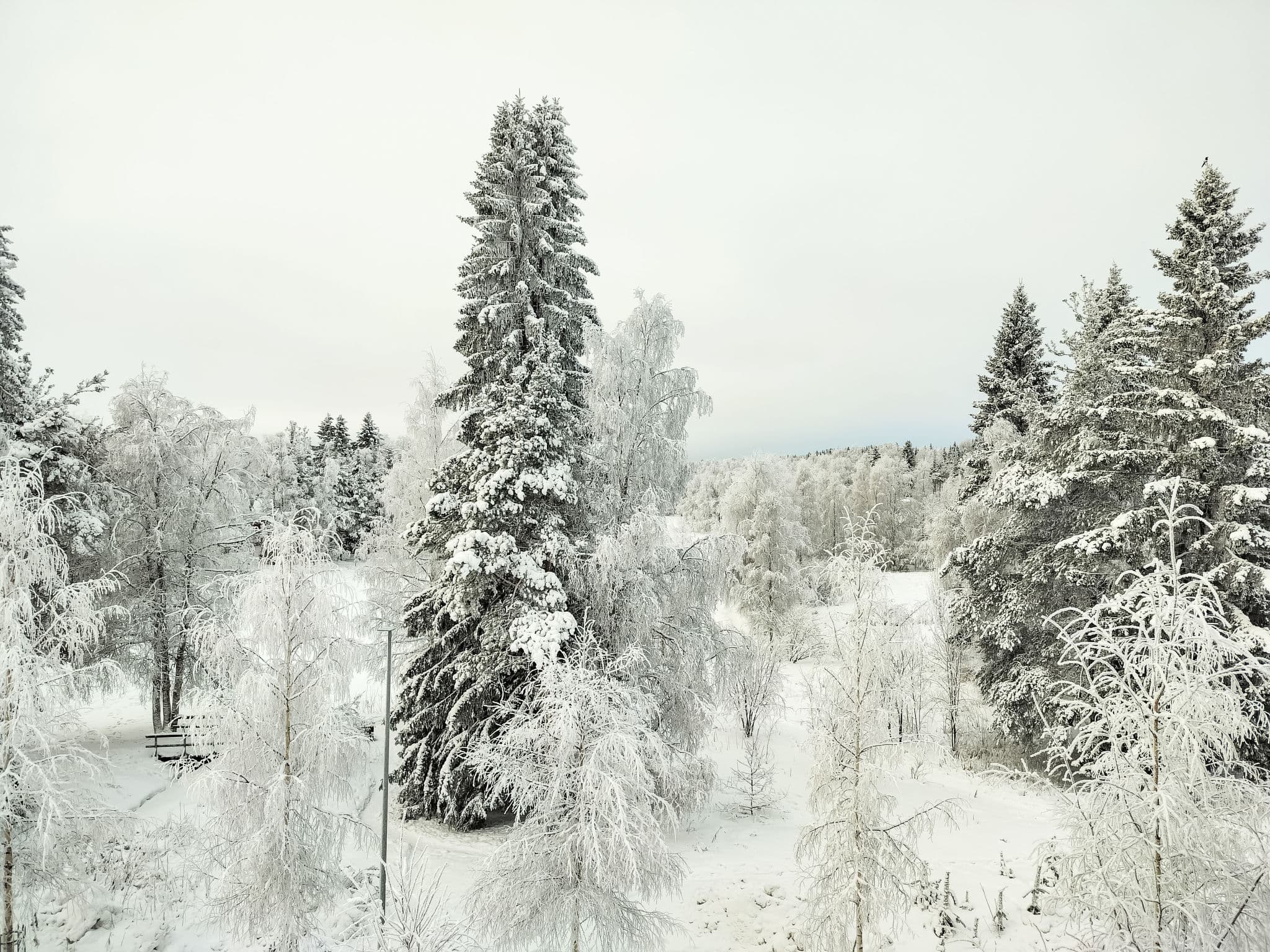 Aerial photography