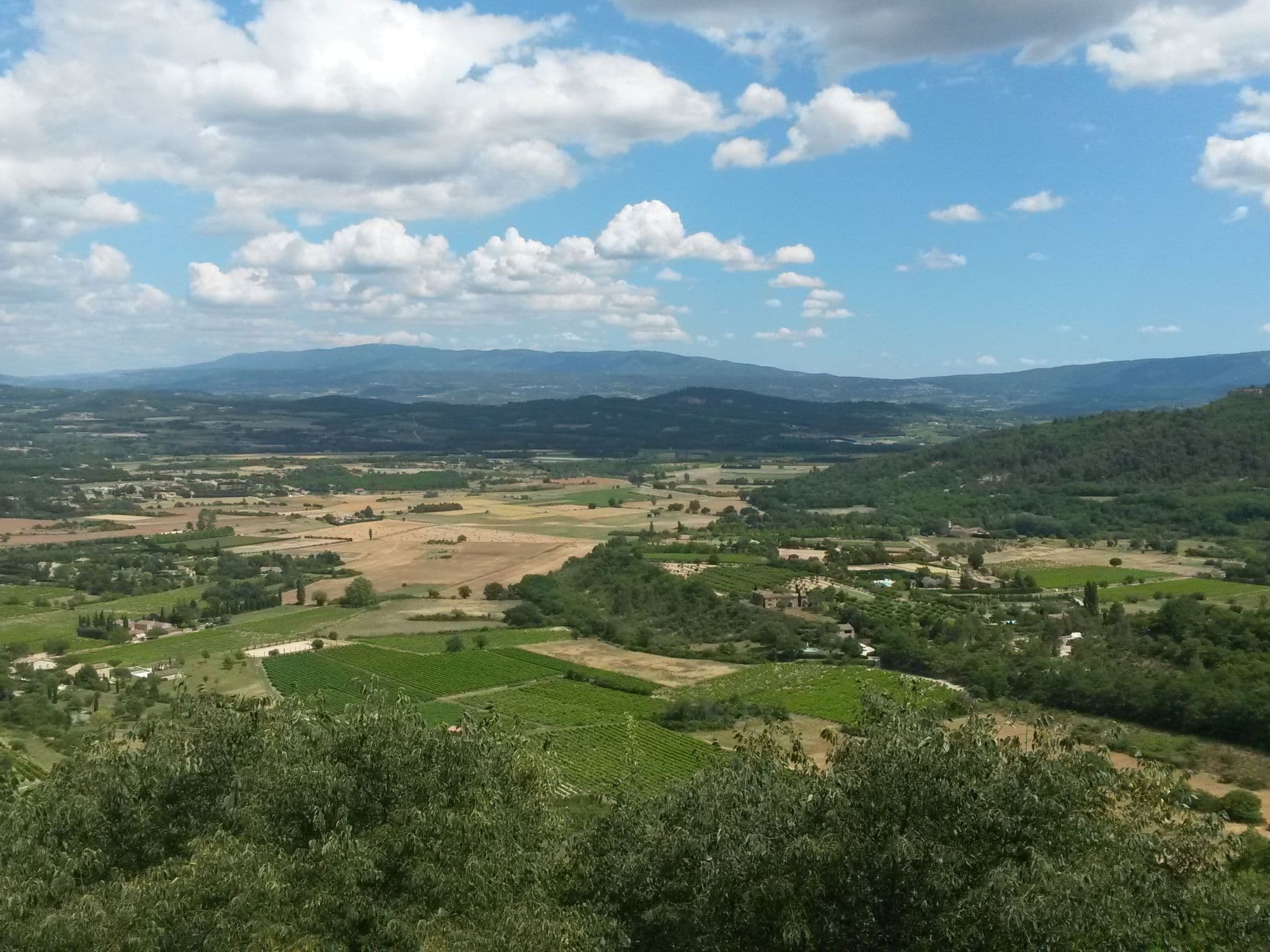 View