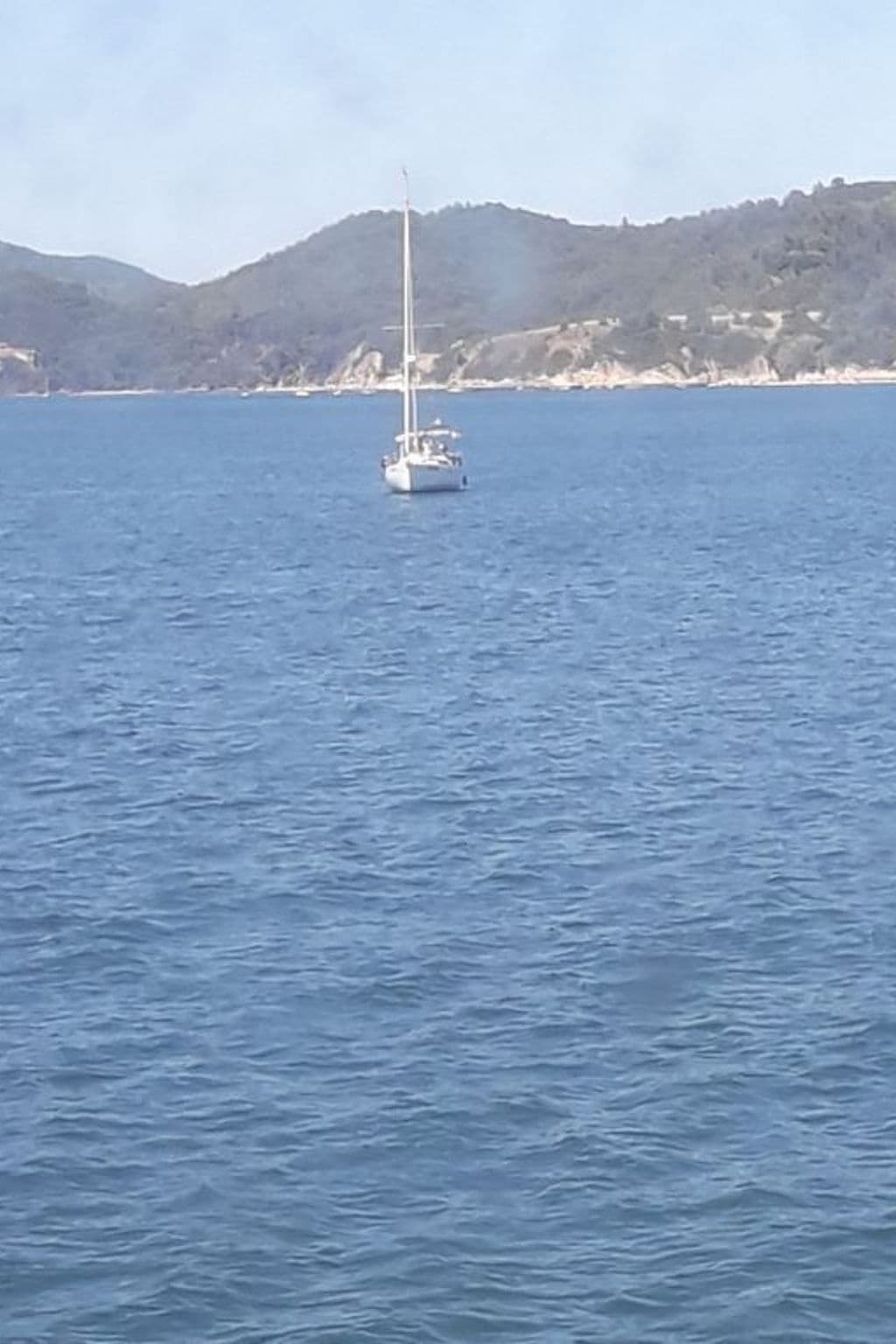 Gallery Image 25