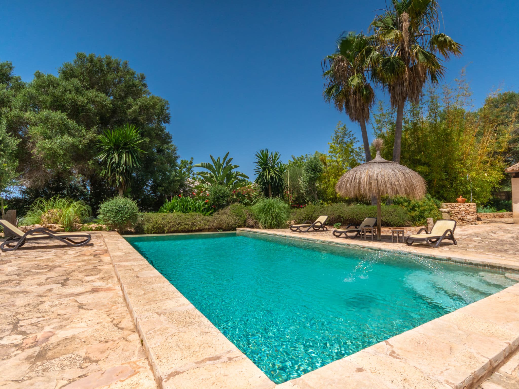Pool Outdoor