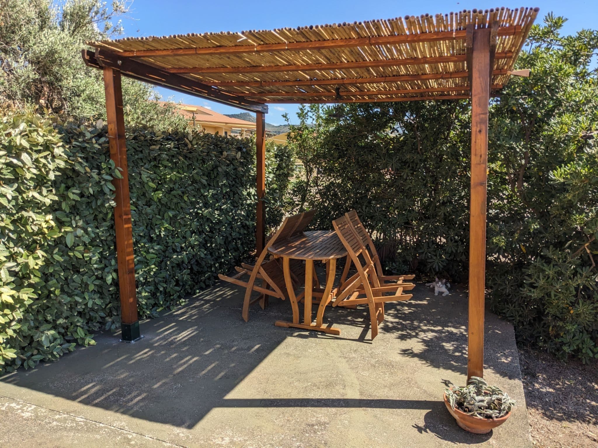 Gallery Image 13