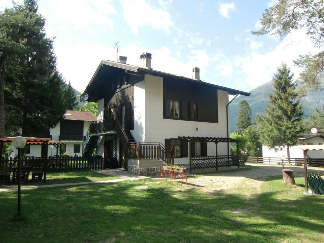 Large Image