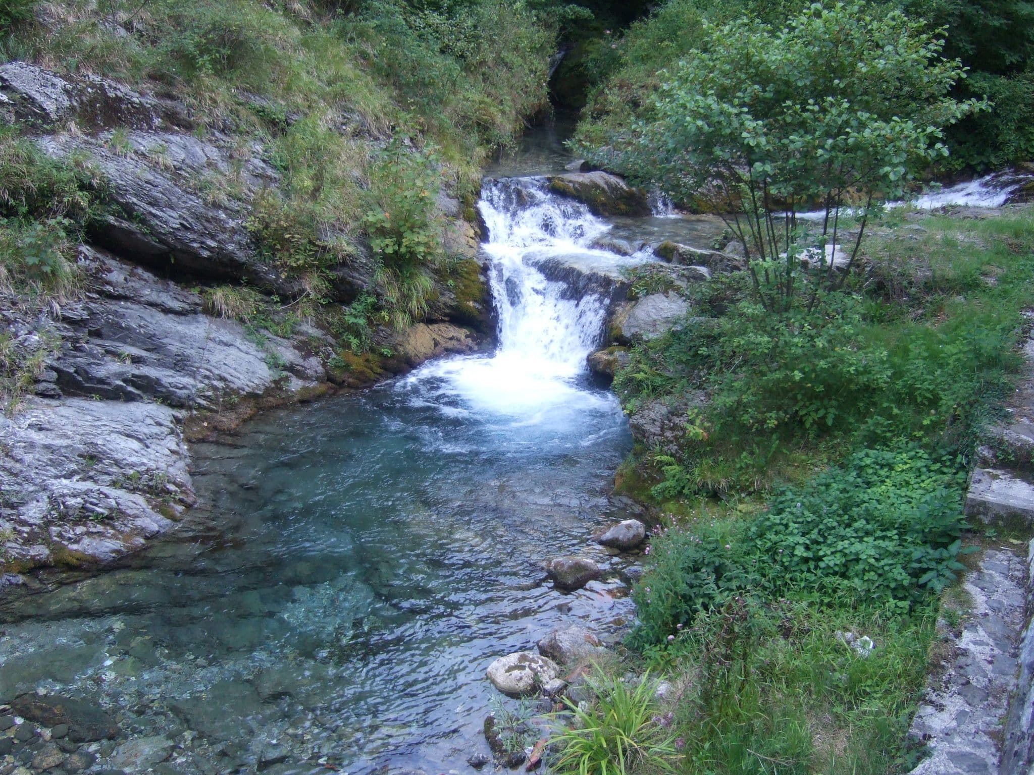 Gallery Image 28