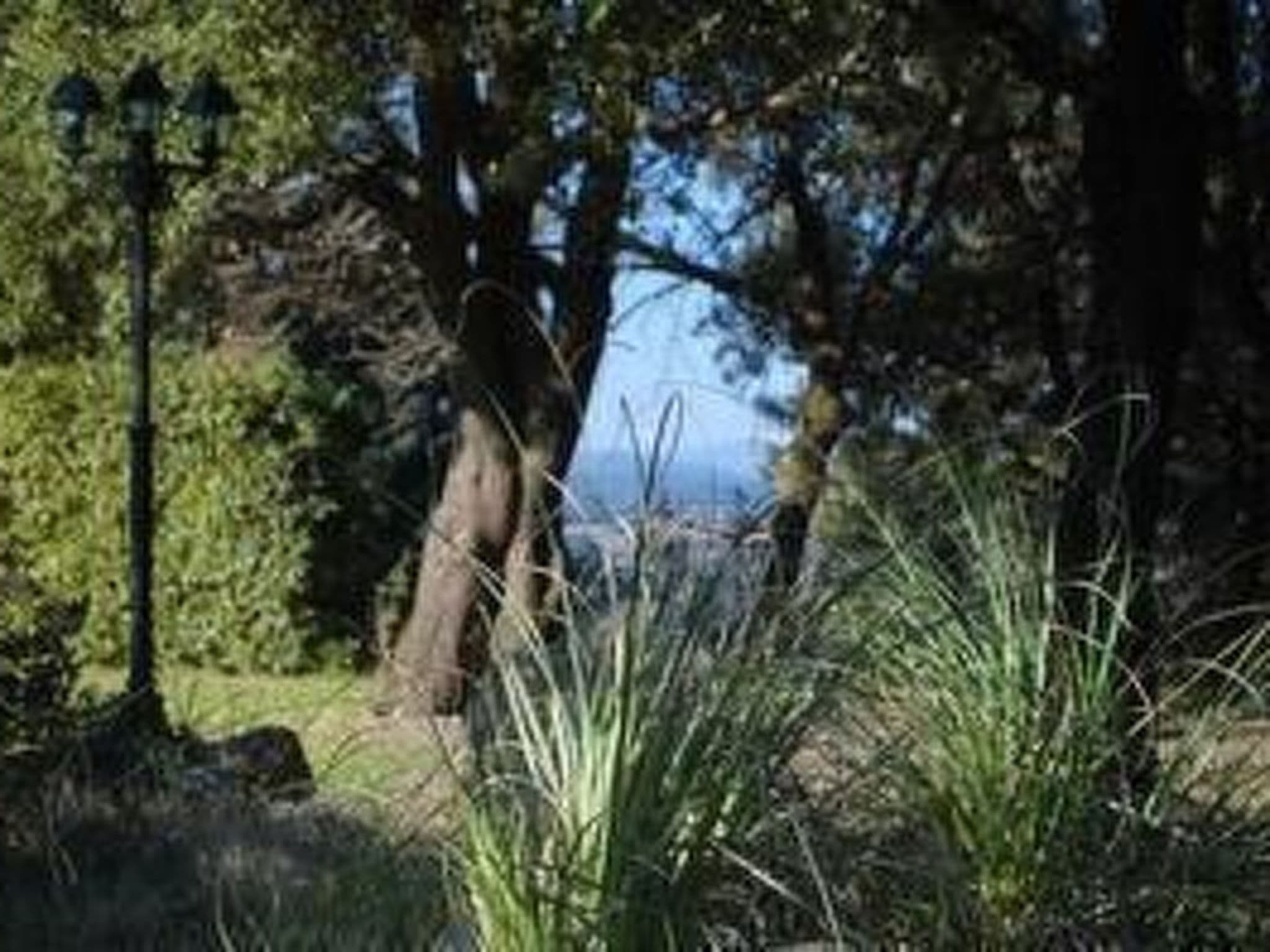 Gallery Image 10