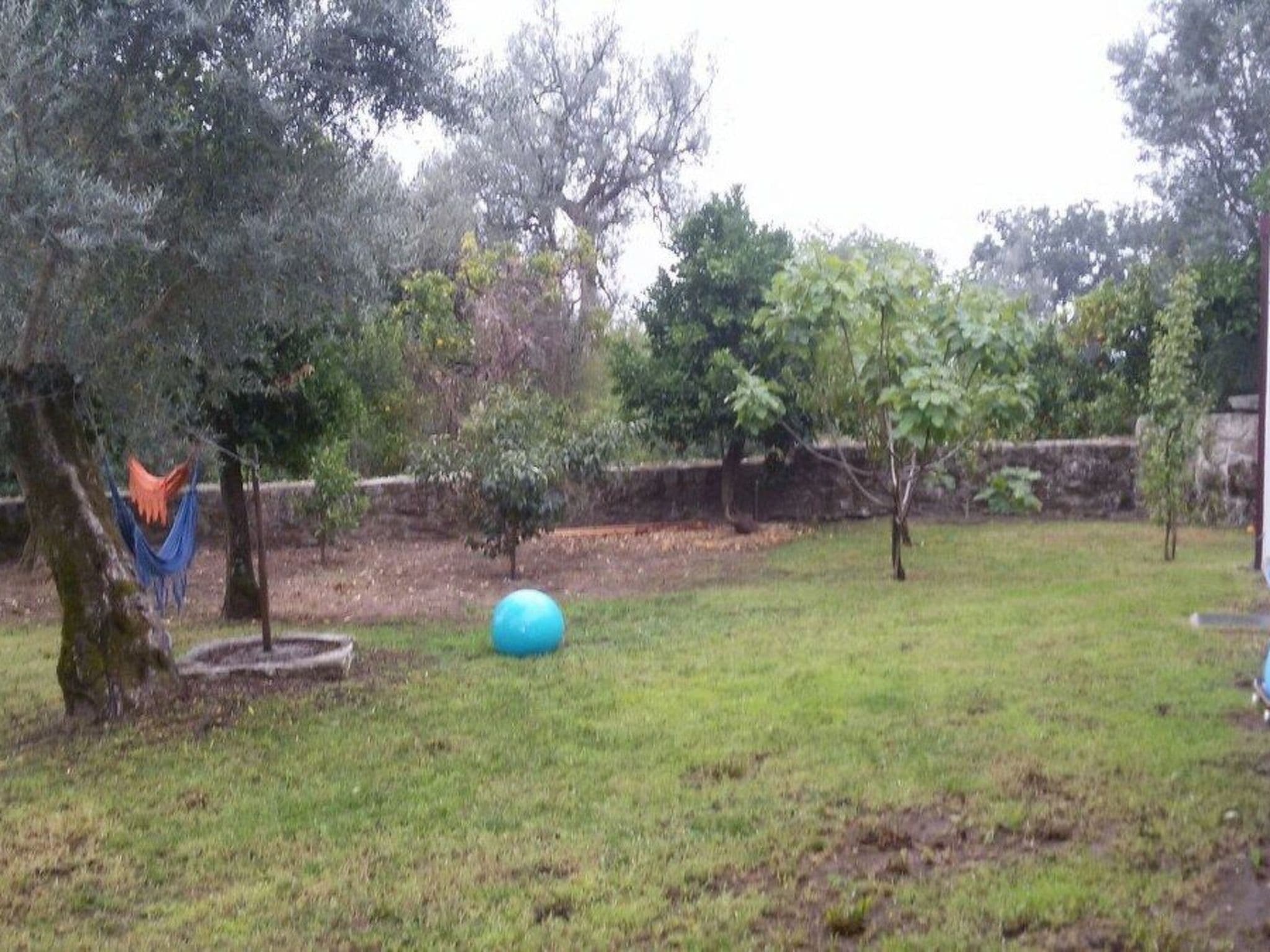 Gallery Image 56