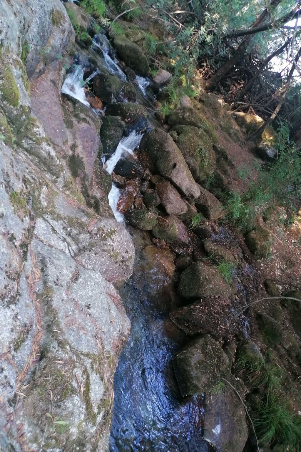 Gallery Image 65