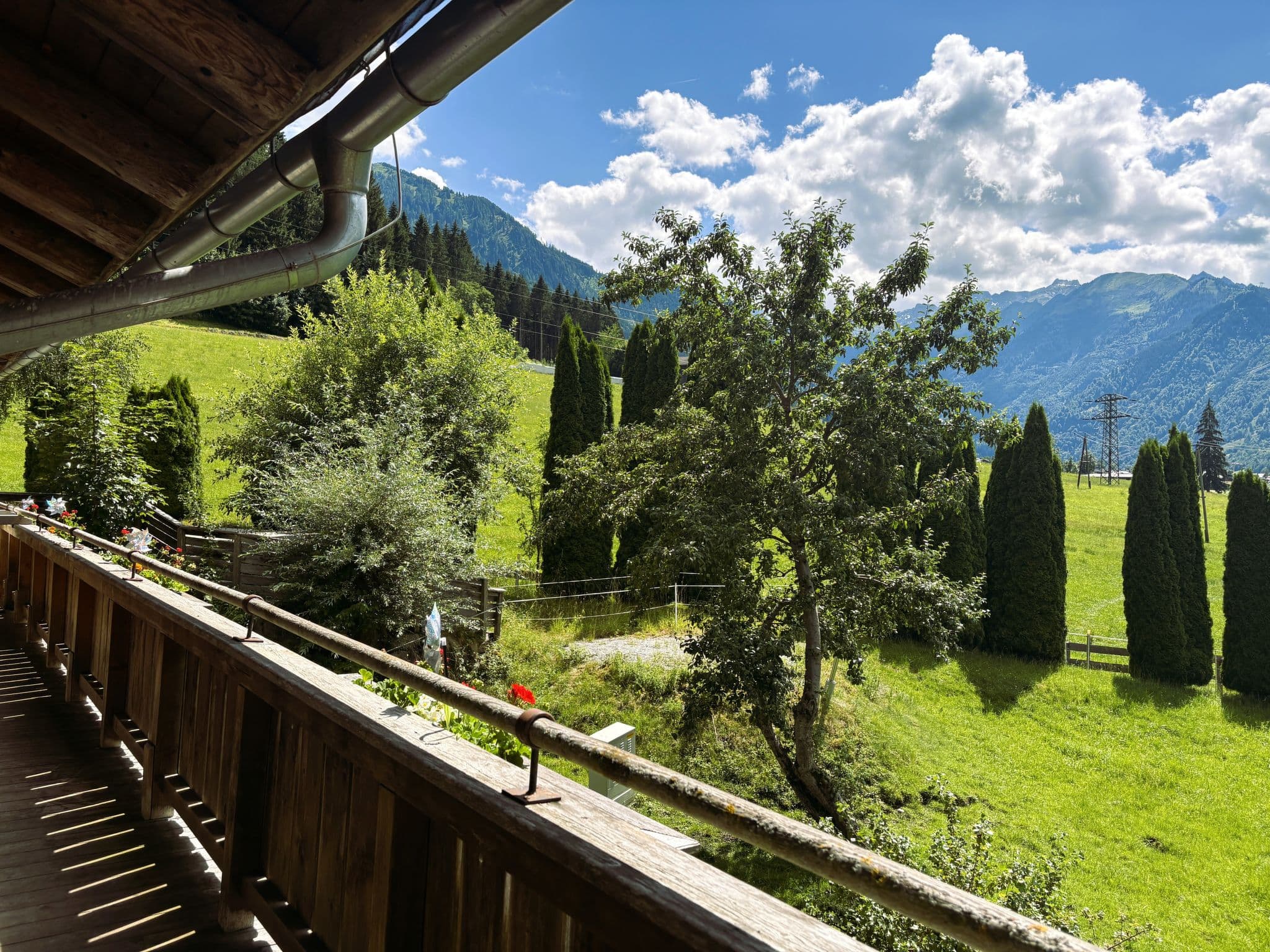 View