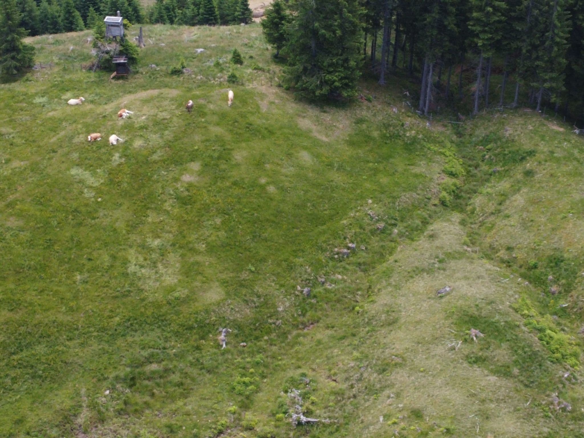 Aerial photography