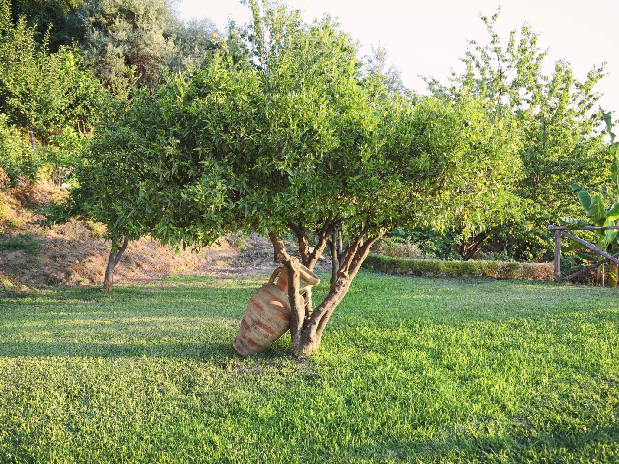 Gallery Image 38