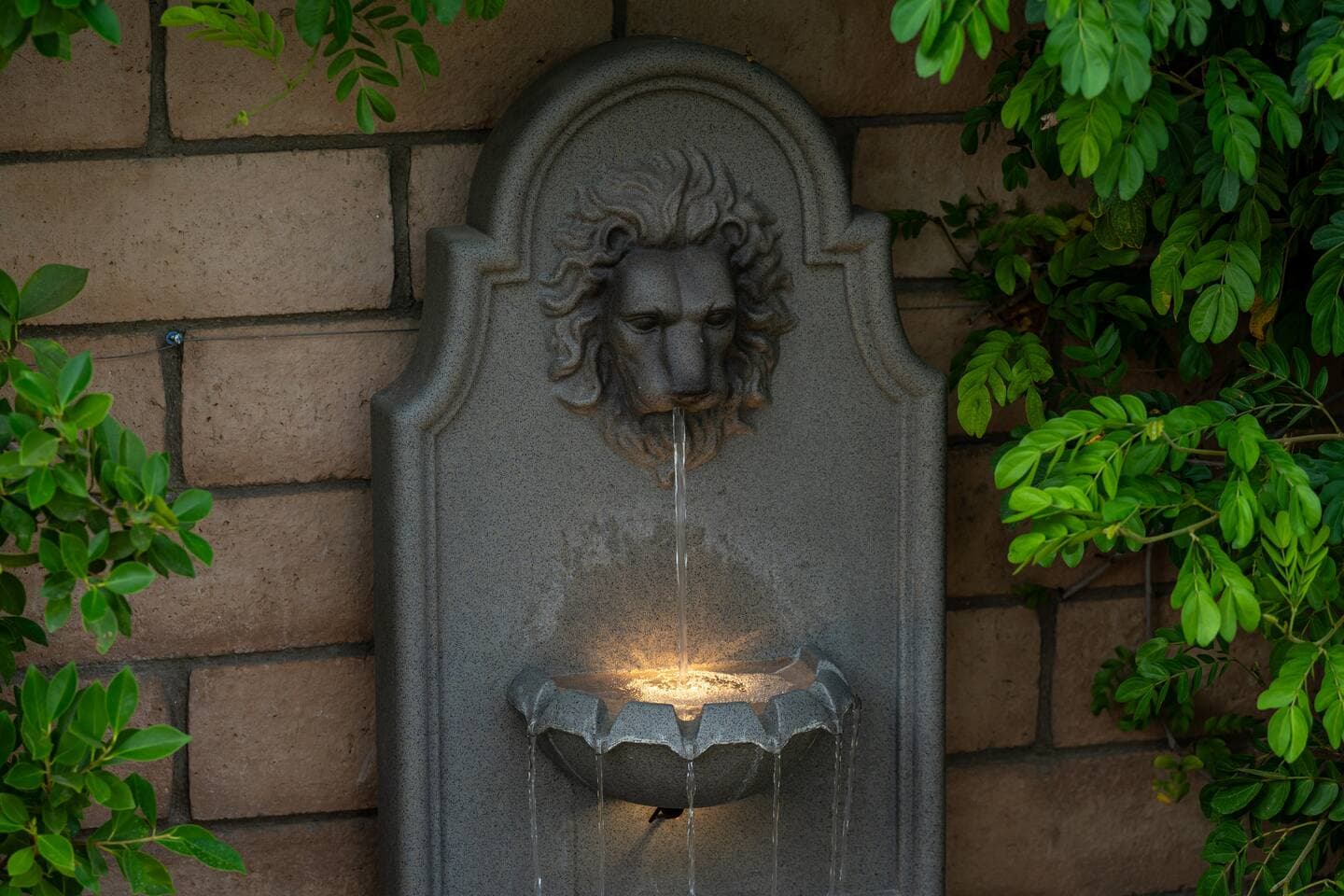 Gallery Image 200
