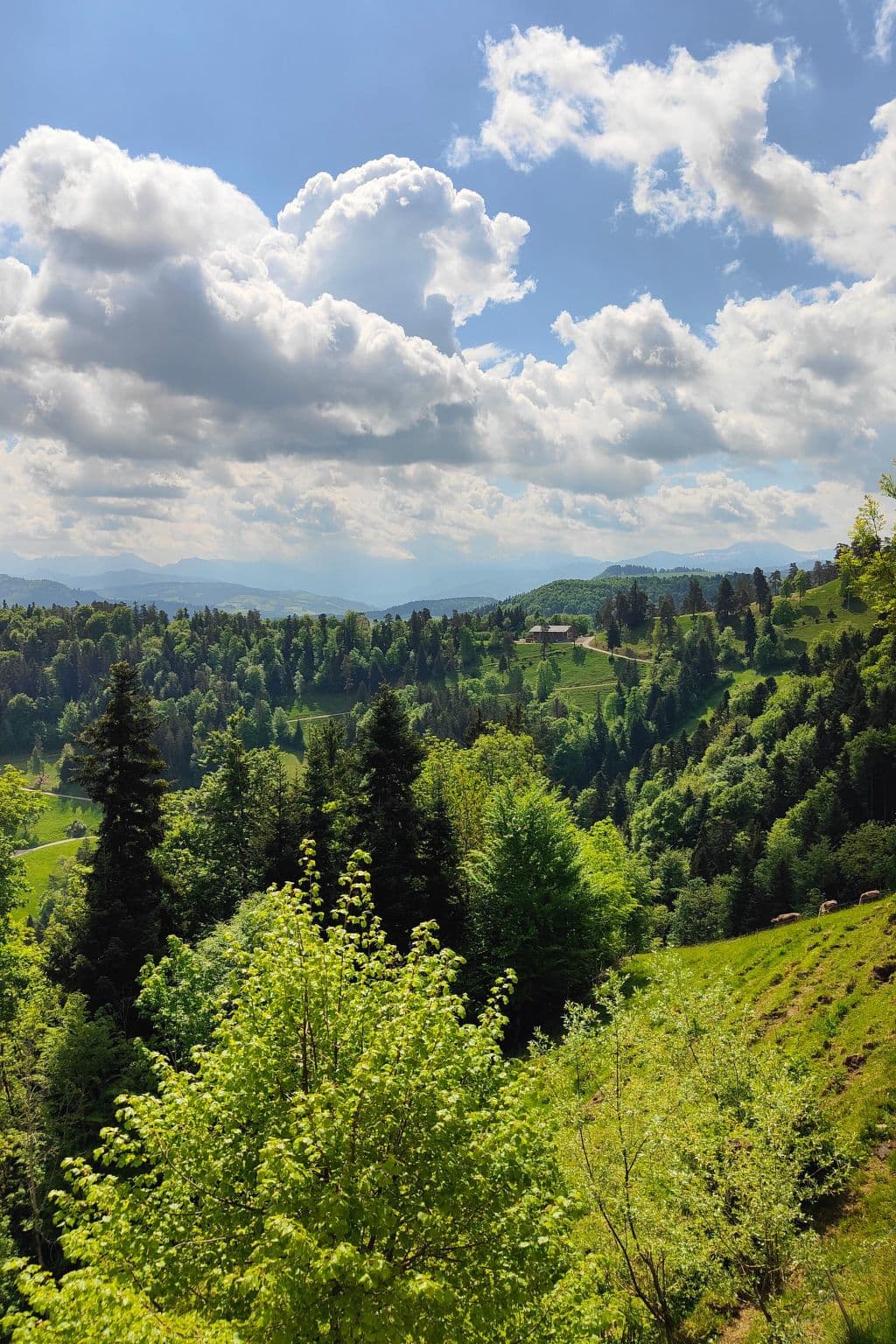 View