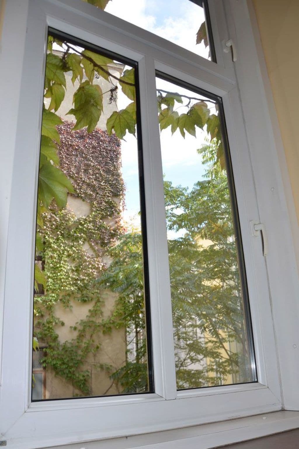 Gallery Image 10