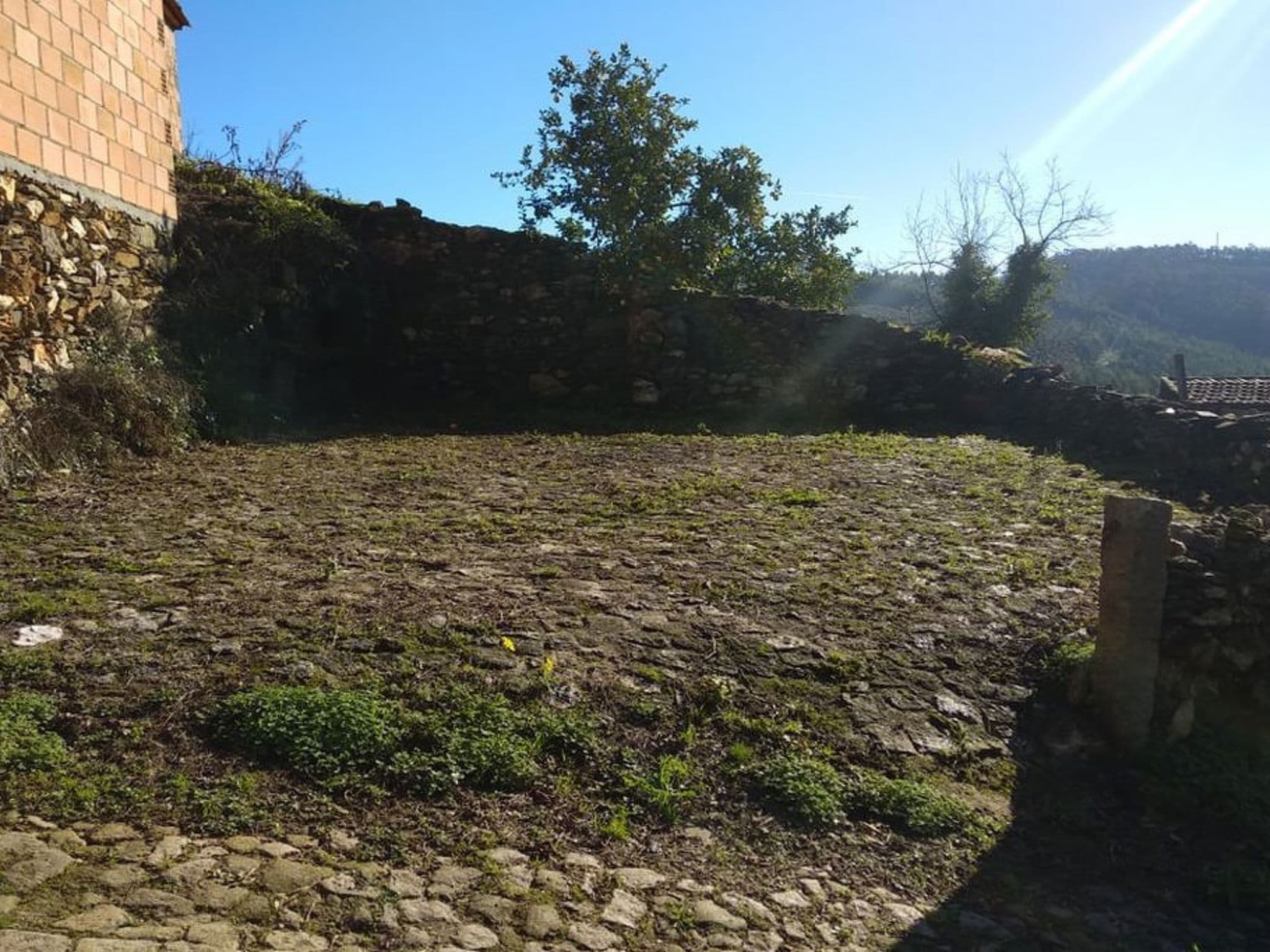 Gallery Image 14
