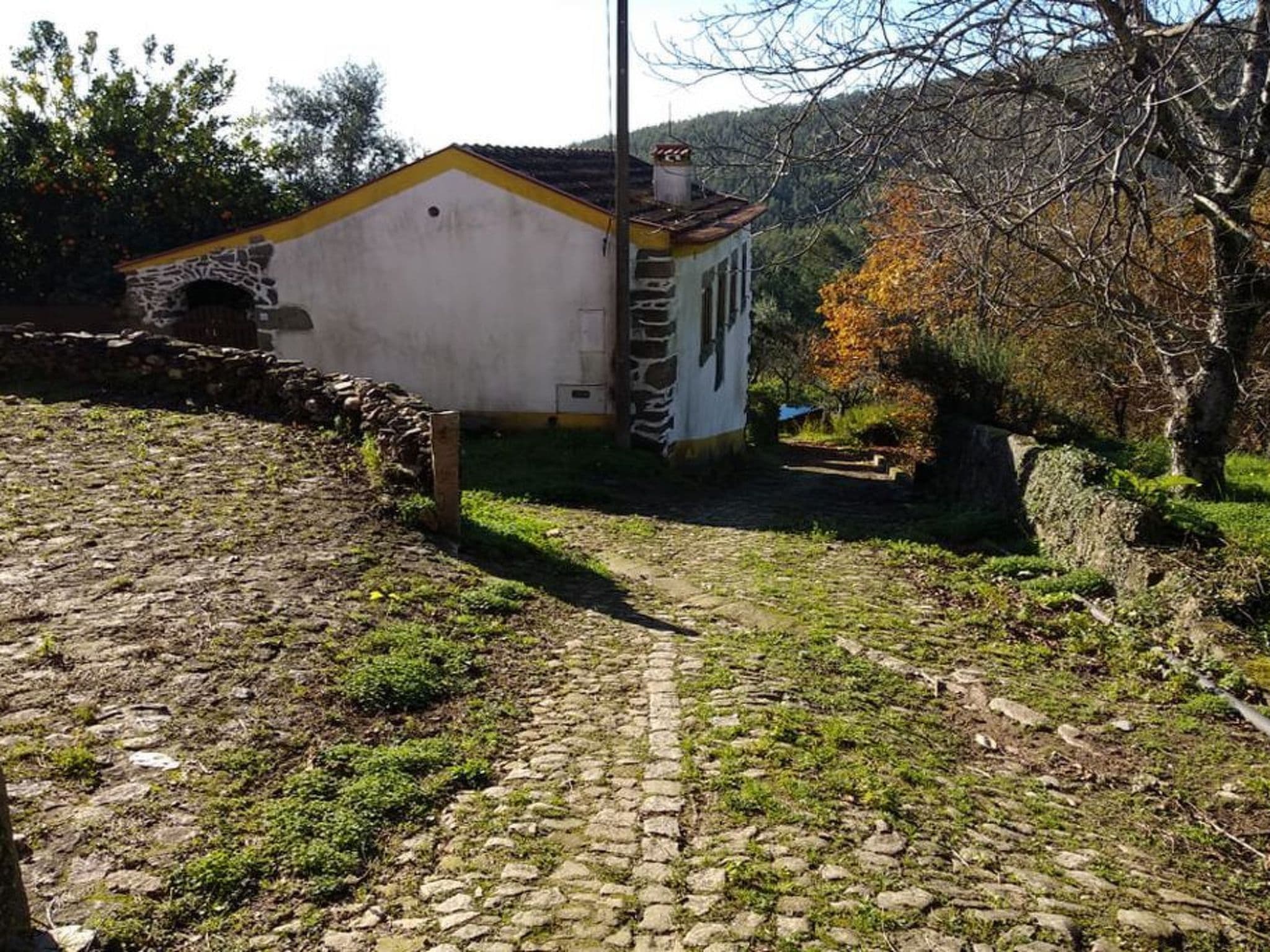 Gallery Image 15