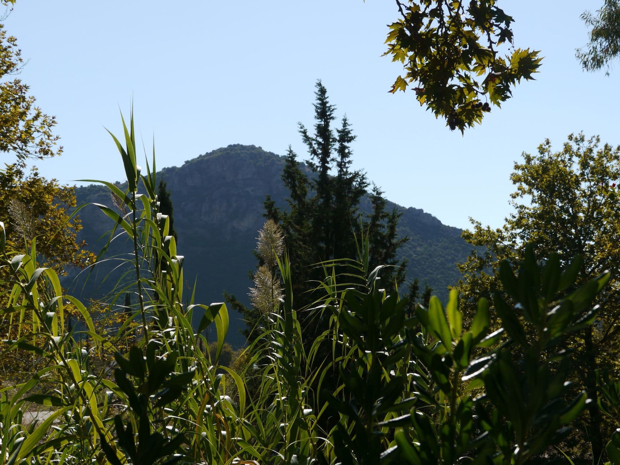 View