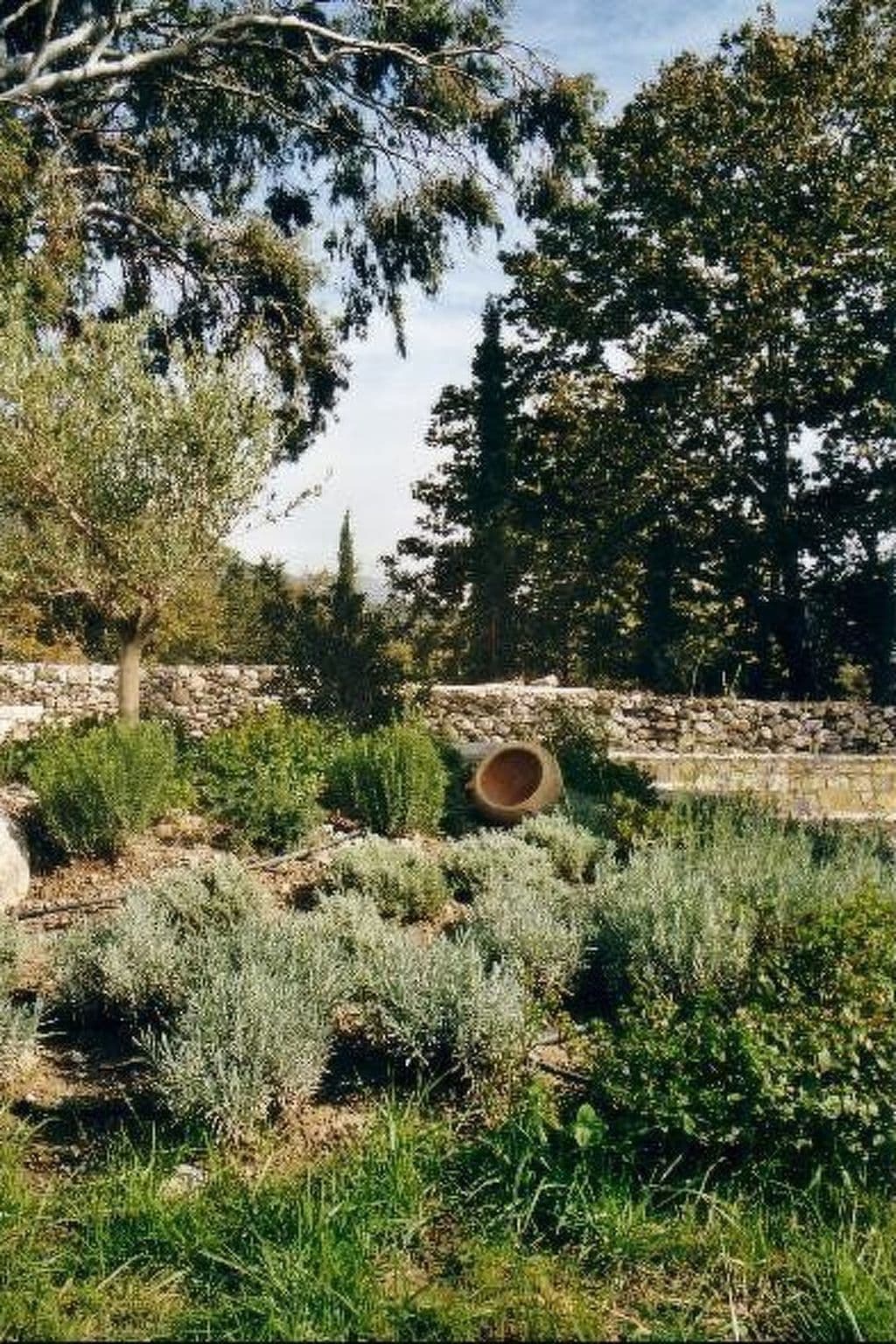 Gallery Image 28