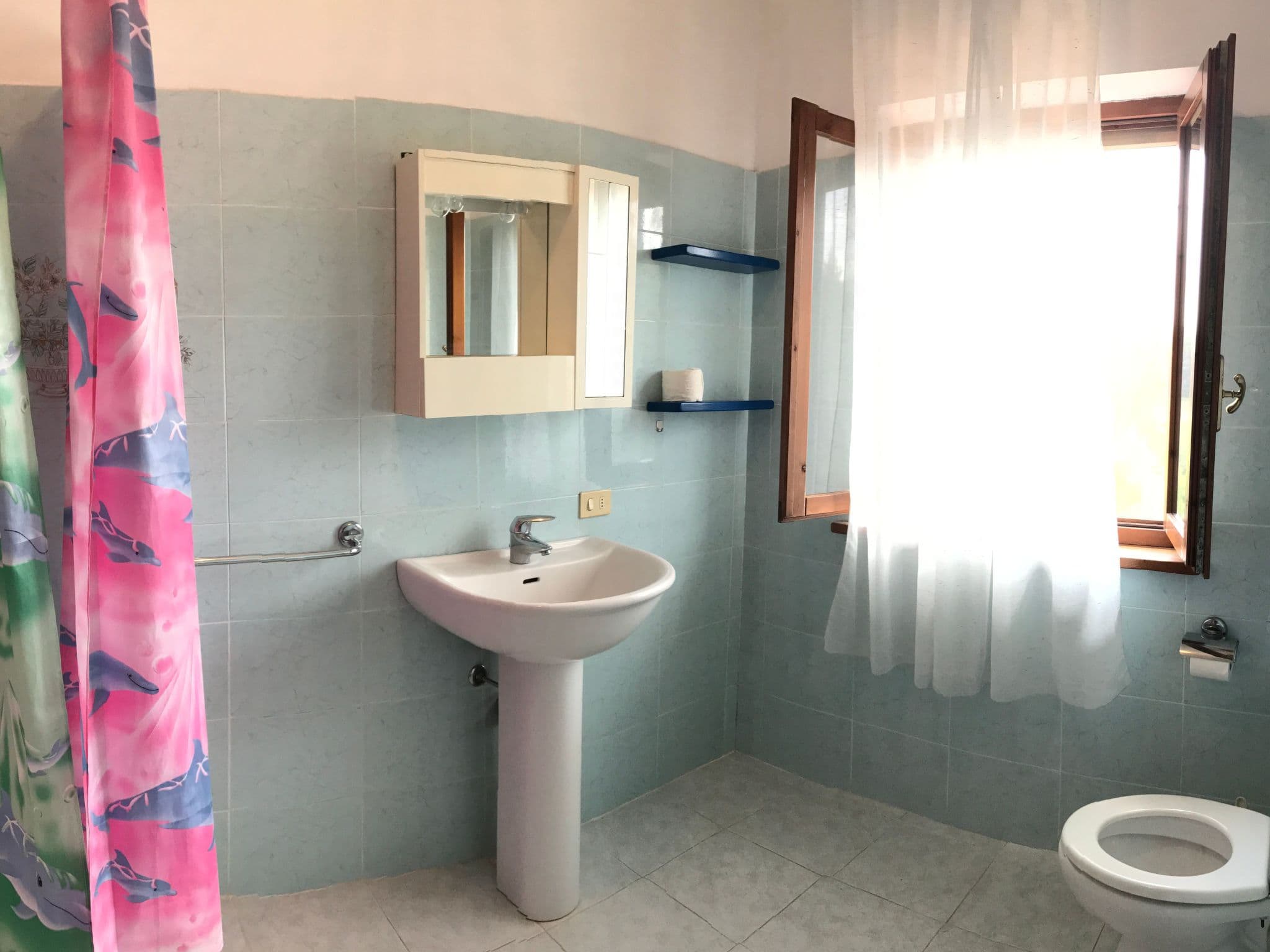 Gallery Image 8