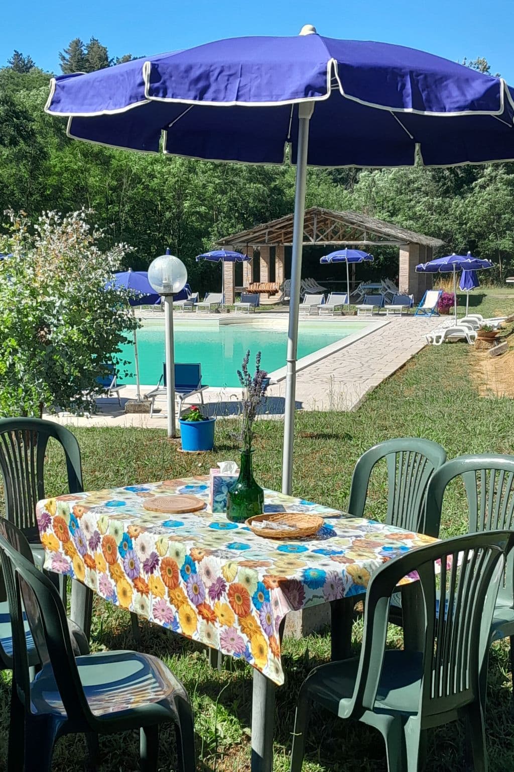Pool Outdoor