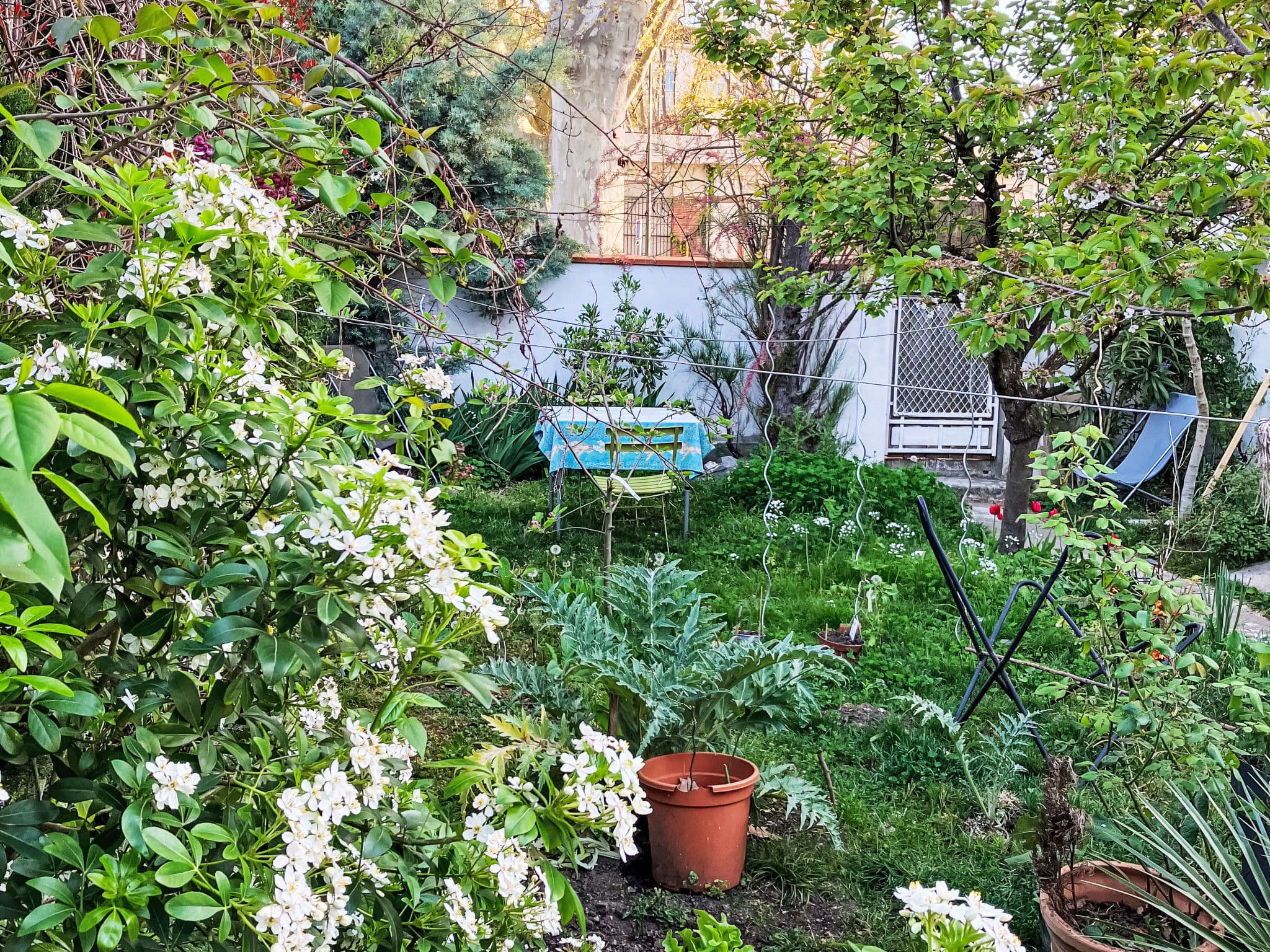 Terrace