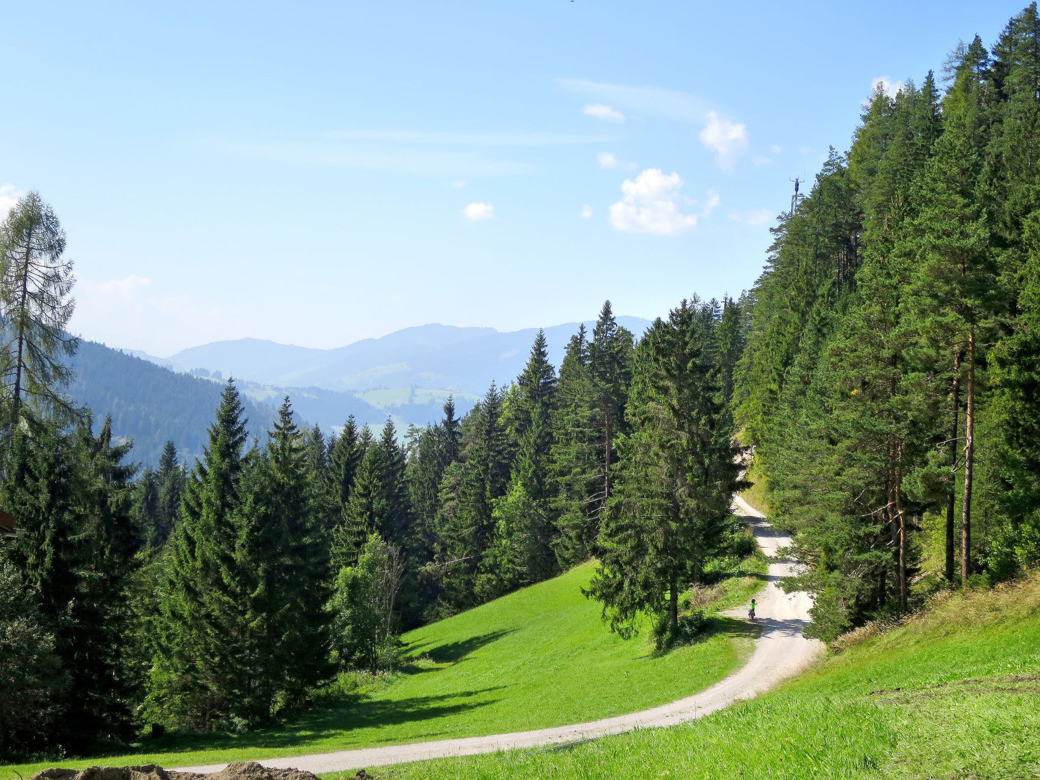 View