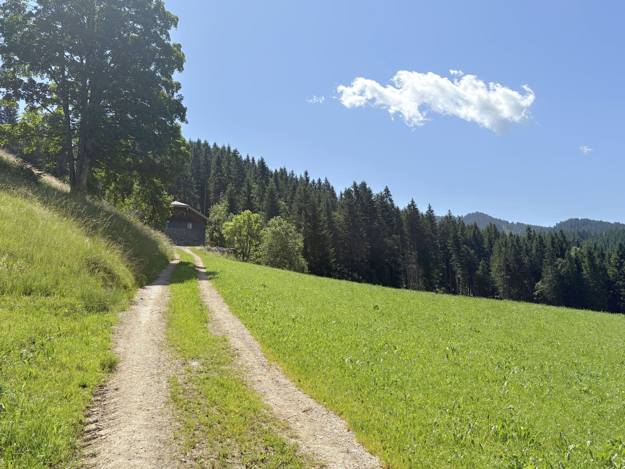 View