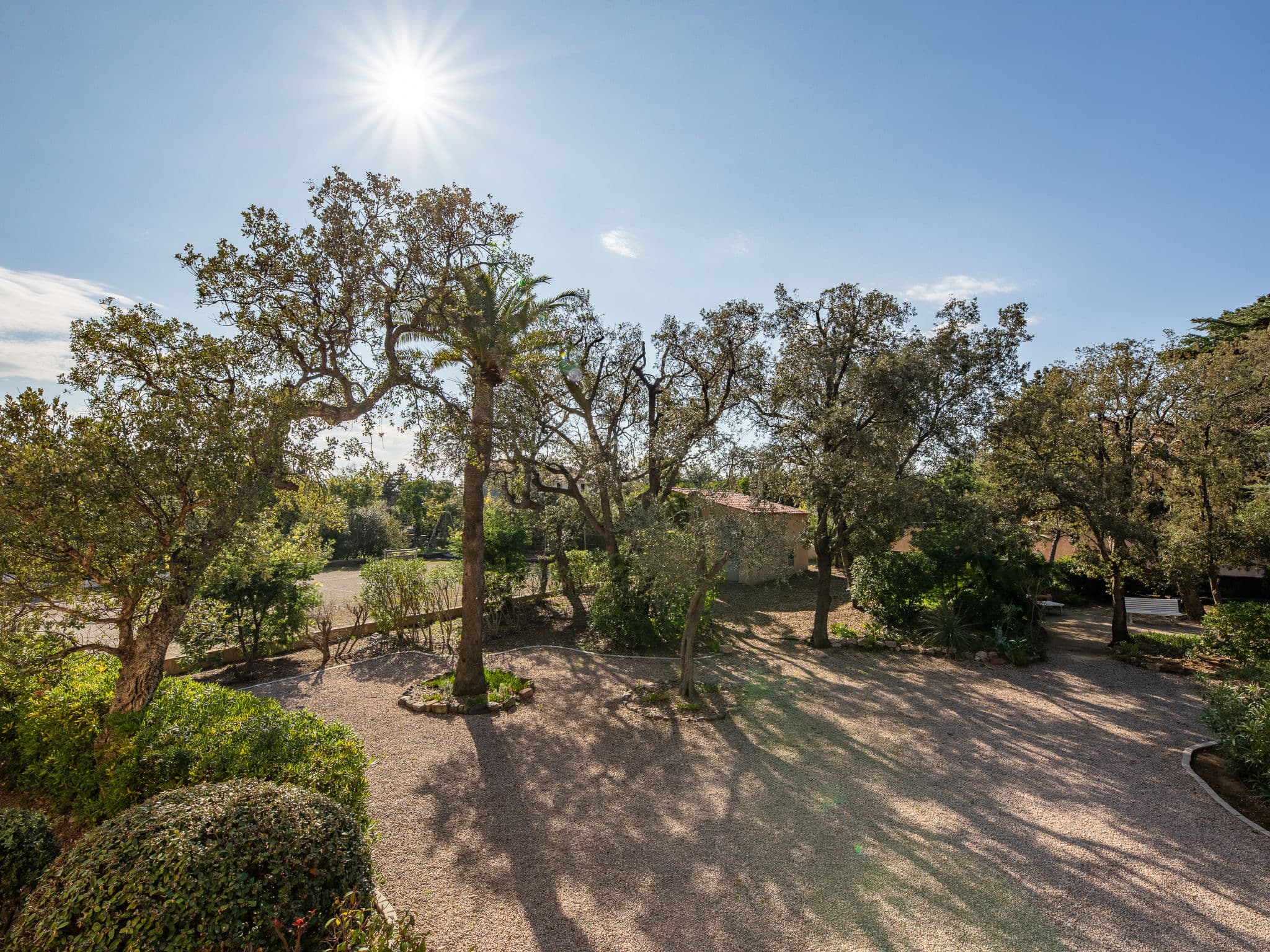View
