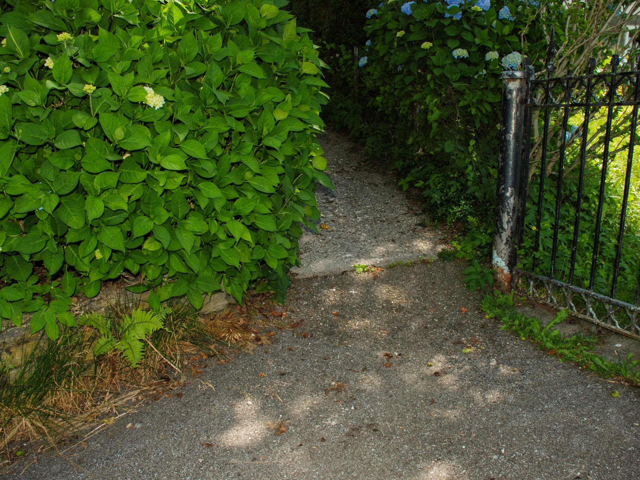 Outdoor