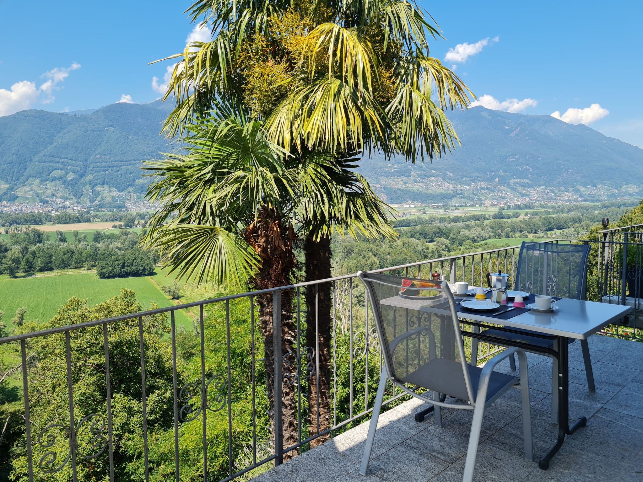 View